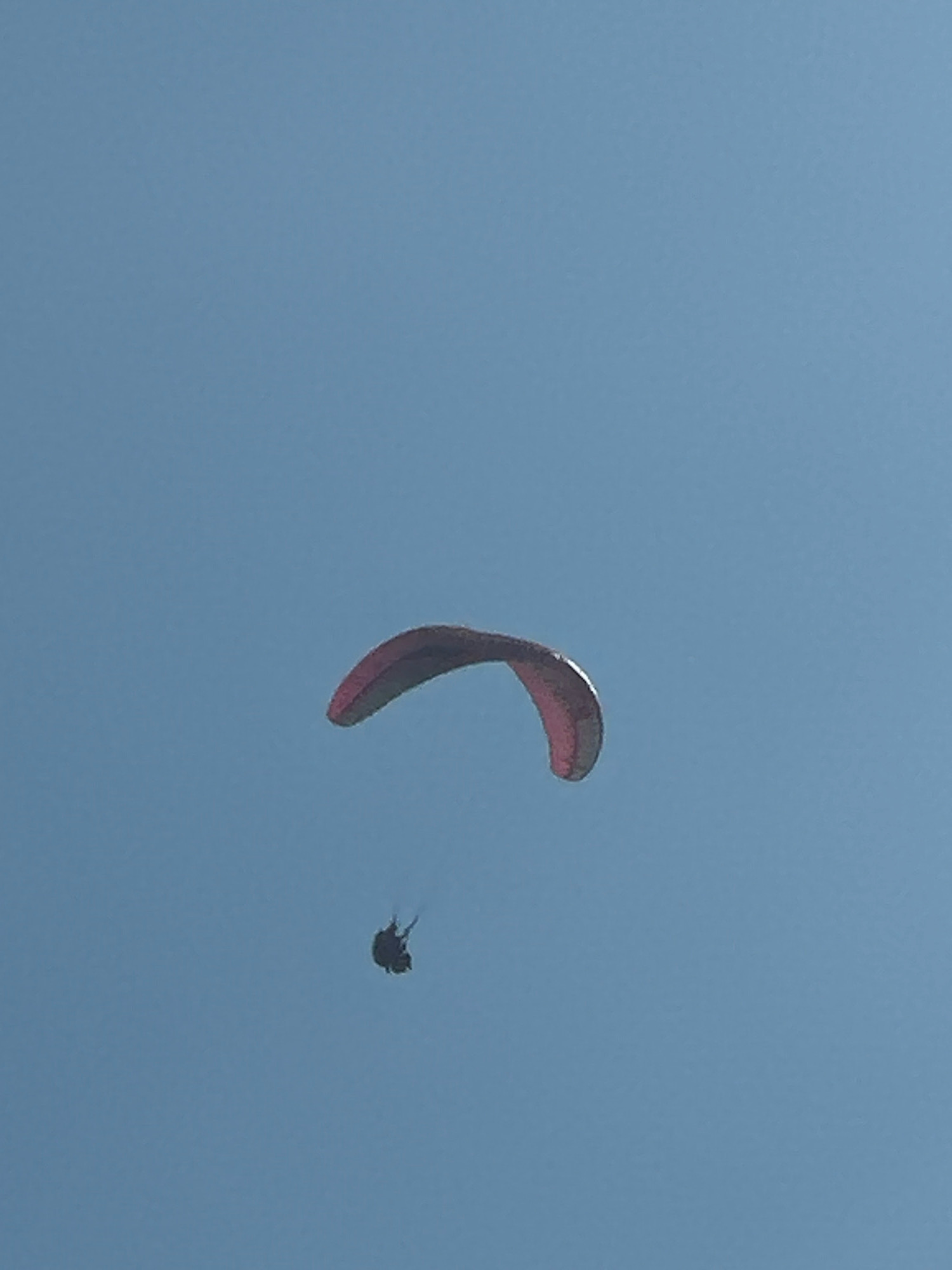 A paraglider is captured against a clear blue sky. The paraglider, predominantly red and dark in color, is seen in mid-air, its wing extended. Below the wing, a dark silhouette of a person is suspended, appearing to be in control of the paraglider. The paraglider is positioned towards the left of the frame. The background is an uninterrupted expanse of sky, indicating an outdoor activity taking place in an open environment, likely a city like Boreti, Montenegro, known for its scenic mountainous terrain and coastline suitable for paragliding.