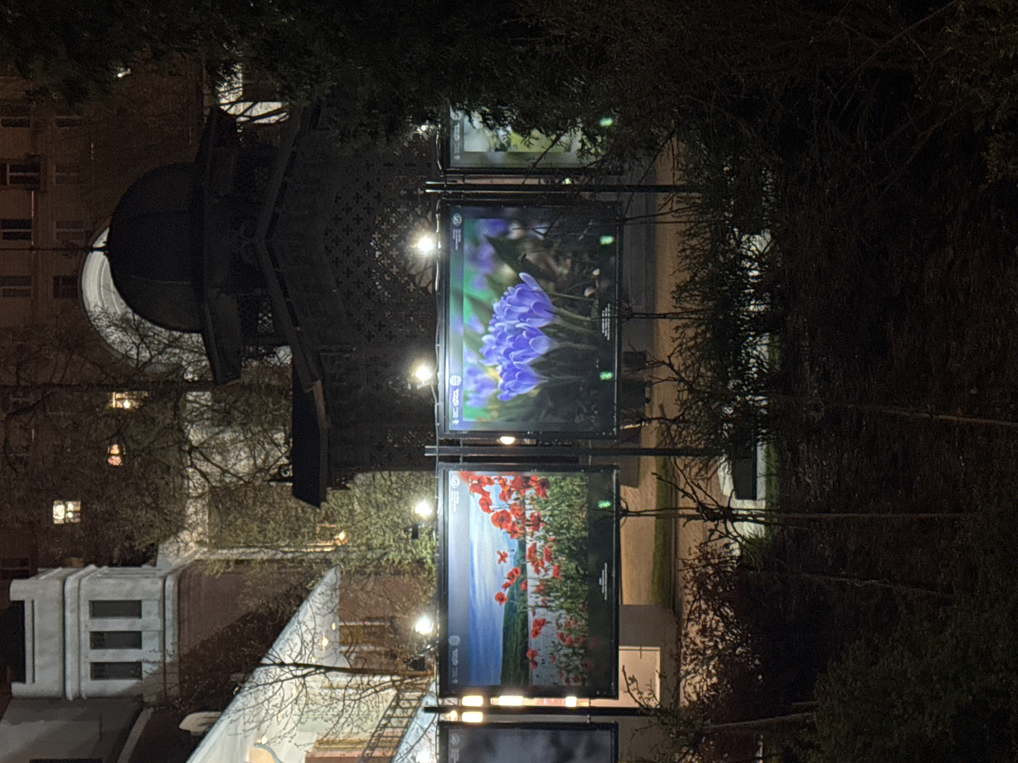 The image shows a nighttime scene in a park or garden setting, possibly in the city of Unknown, Unknown. Visible are several illuminated photo displays featuring nature photography, including close-ups of flowers. The images are attached to metal poles. In the background, there is a building with illuminated windows and an ornate structure, likely a gazebo or pavilion. Trees and other vegetation frame the view. The environment is dark, with the primary light source coming from the display lighting and building illumination.