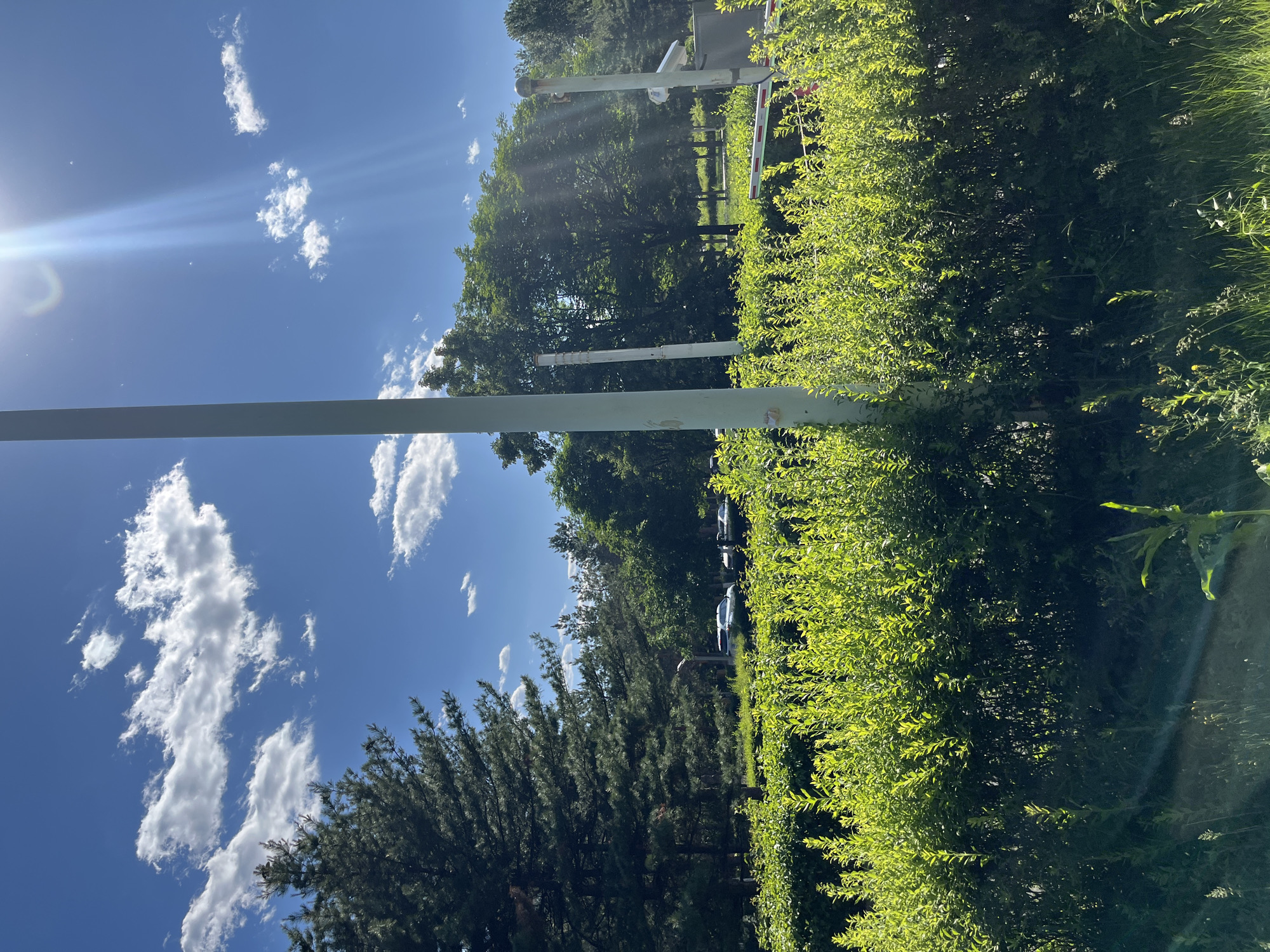 The image shows a daytime outdoor scene in Changchun City, China. A bright, sunny sky with scattered cumulus clouds is visible above. In the foreground, there are white vertical poles, possibly part of a structure like a sign or gate. Lush green bushes and trees dominate the right side of the image. Further back, cars are parked near some trees. The overall impression is a bright, outdoor setting with a mix of sky, vegetation, and urban elements.