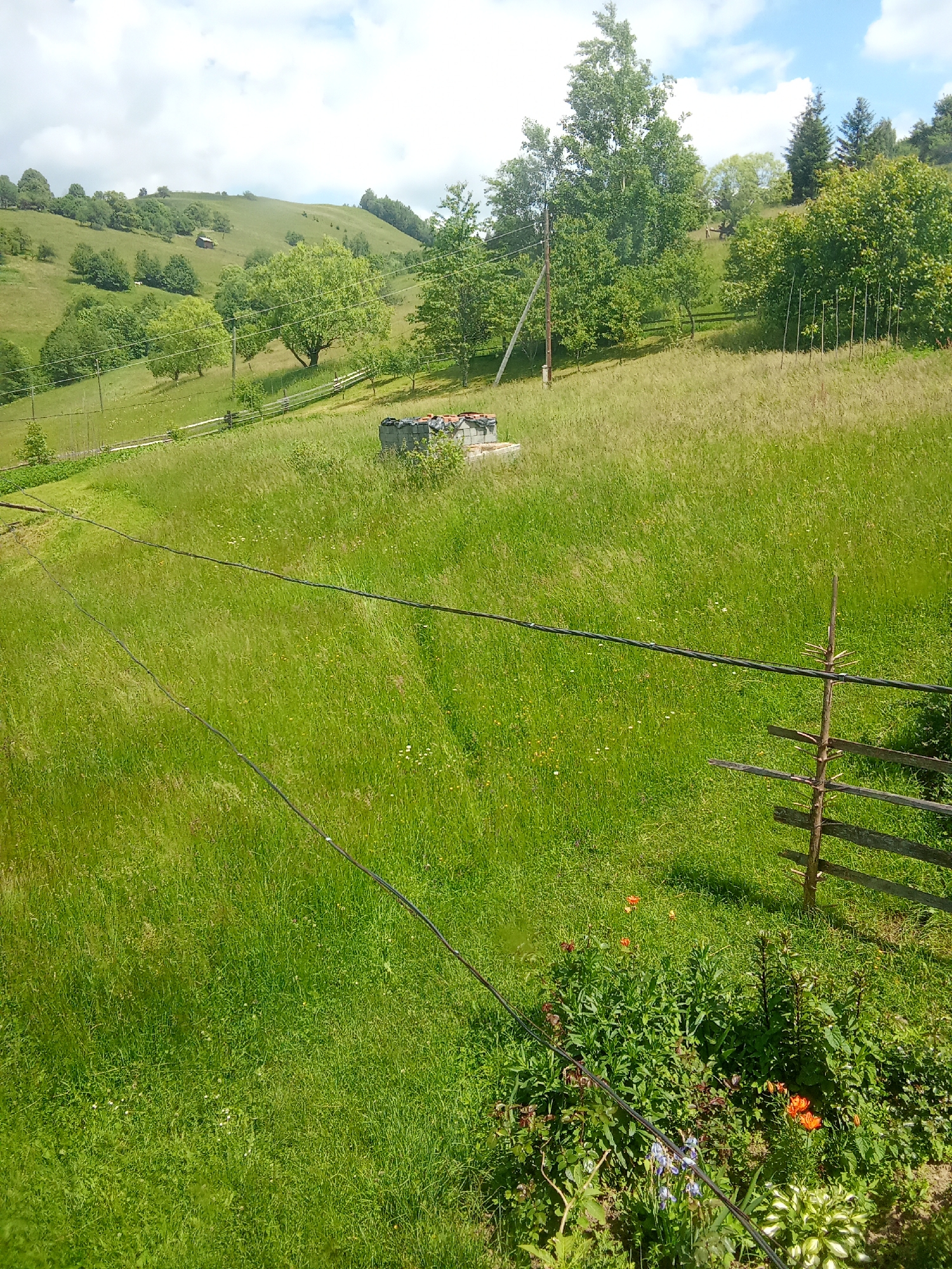 The image depicts a rural landscape in Polianky, Ukraine. The scene is dominated by a lush green meadow with tall grass and scattered wildflowers. In the mid-ground, a wooden fence runs diagonally across the frame, separating the meadow from a gentle slope. A few scattered trees, some with dense foliage and others more sparse, dot the hillside. The background features rolling hills covered in green vegetation and a few distant trees. A light blue sky with scattered white clouds completes the natural setting. In the foreground, a cluster of green bushes and flowering plants, including orange lilies, are visible. A rustic wooden fence post with horizontal wooden planks is also present in the lower right corner. Two dark, thin wires, likely power or telephone lines, stretch across the middle of the frame.