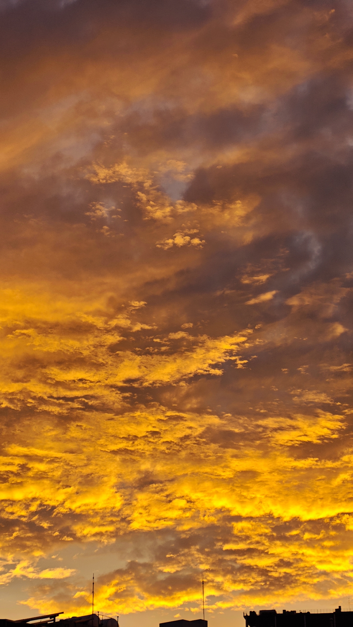 This vertical, low-angle shot captures a dramatic sunset over Hanoi, Vietnam. The sky is filled with a dense expanse of clouds, illuminated by the setting sun in vibrant hues of orange, yellow, and fiery gold. These brilliant colors are contrasted by darker, purplish-gray clouds interspersed throughout, creating a sense of depth and texture. The clouds appear to be in various stages of formation, with some appearing wispy and others more solid and textured, reflecting the changing light.
At the very bottom of the frame, the silhouetted rooftops of buildings are visible, hinting at the urban landscape of Hanoi. Two thin, antenna-like structures rise from the rooftops, adding vertical lines to the composition. The overall impression is one of a powerful natural phenomenon unfolding over a city, with the dramatic sky dominating the scene. The time of day is clearly sunset, indicated by the intense coloration of the clouds. The weather appears to be partly cloudy, contributing to the spectacular visual display. There is no visible text in the image.
