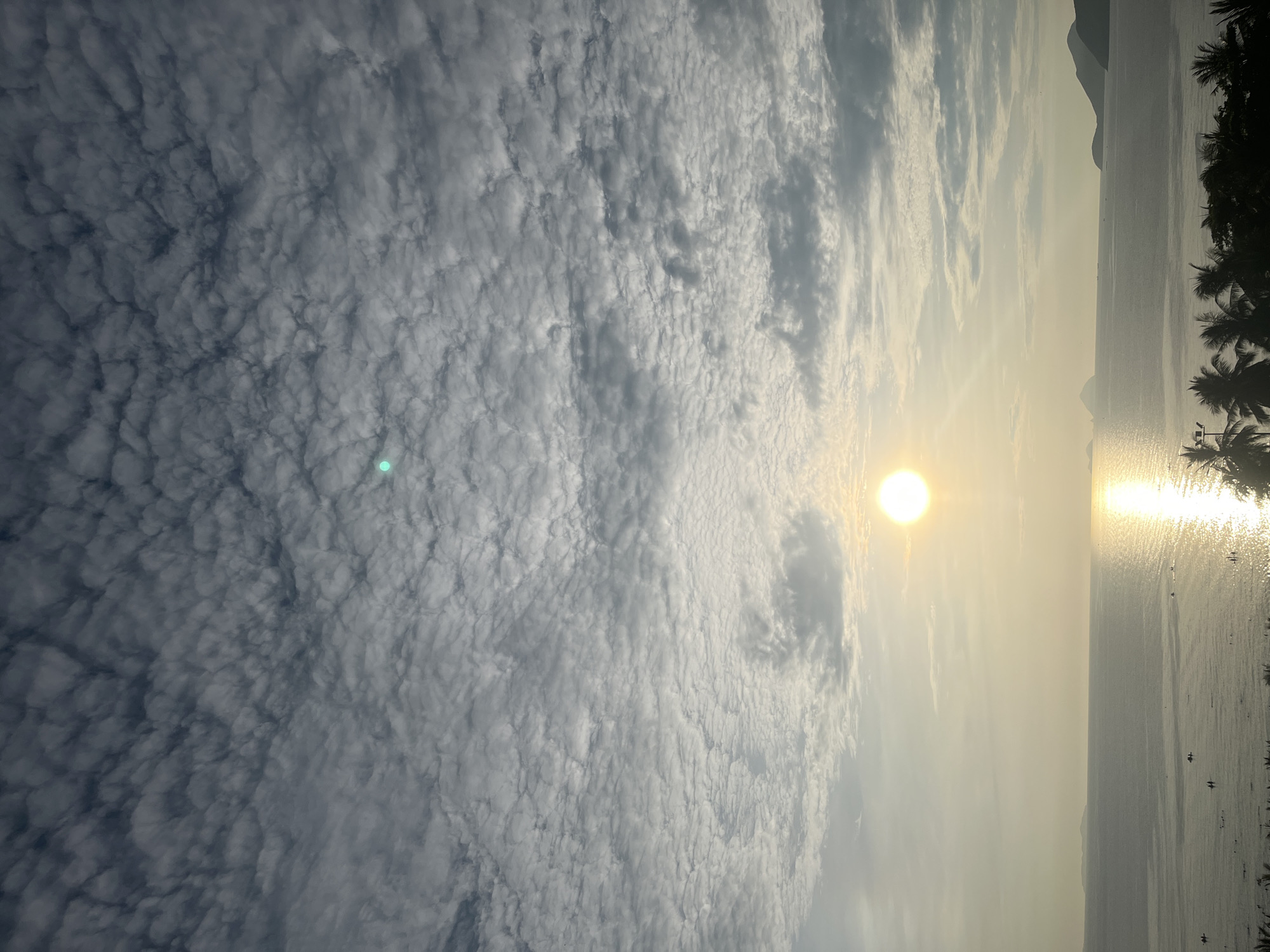 The image captures a serene sunset over the coast of Nha Trang, Vietnam. The sun, a bright orb, is positioned in the left-center of the frame, casting a golden glow on the calm ocean waters. The sky is adorned with a textured layer of altocumulus clouds, creating a visually dynamic pattern. In the distance, the silhouettes of islands and hills rise from the horizon, adding depth to the scene. Along the coastline, a line of palm trees stands in the foreground, framing the view of the water. The ocean appears to have a few scattered boats and people, suggesting a peaceful, late afternoon or early evening at a beachside location in Nha Trang.