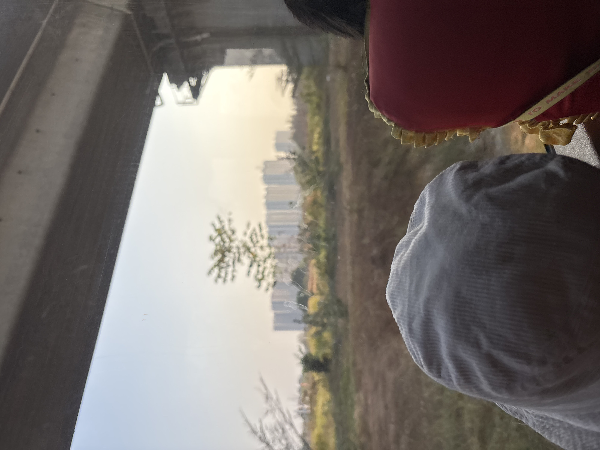 A photograph taken from inside a vehicle, looking out a window at a city landscape under a bright sky, likely during daytime. The foreground is dominated by the back of a person's head wearing a light-colored corduroy bucket hat. To the right, a portion of another person's head is visible, with dark hair. A red cushion with yellow decorative trim is also present in the foreground.
The middle ground reveals a dry, grassy field with scattered trees and bushes. In the distance, a dense cluster of tall, modern apartment buildings forms a skyline, suggesting an urban or suburban environment. The sky is pale and hazy, with a hint of yellow, possibly indicating sunrise or sunset, or atmospheric conditions like dust or pollution.
An overhead structure, possibly a bridge or overpass, is visible at the top of the image, casting a shadow that partially obscures the sky. The window through which the photograph is taken appears to have some smudges or marks on its surface.
The image is set in the city of Jayamukti, Indonesia.