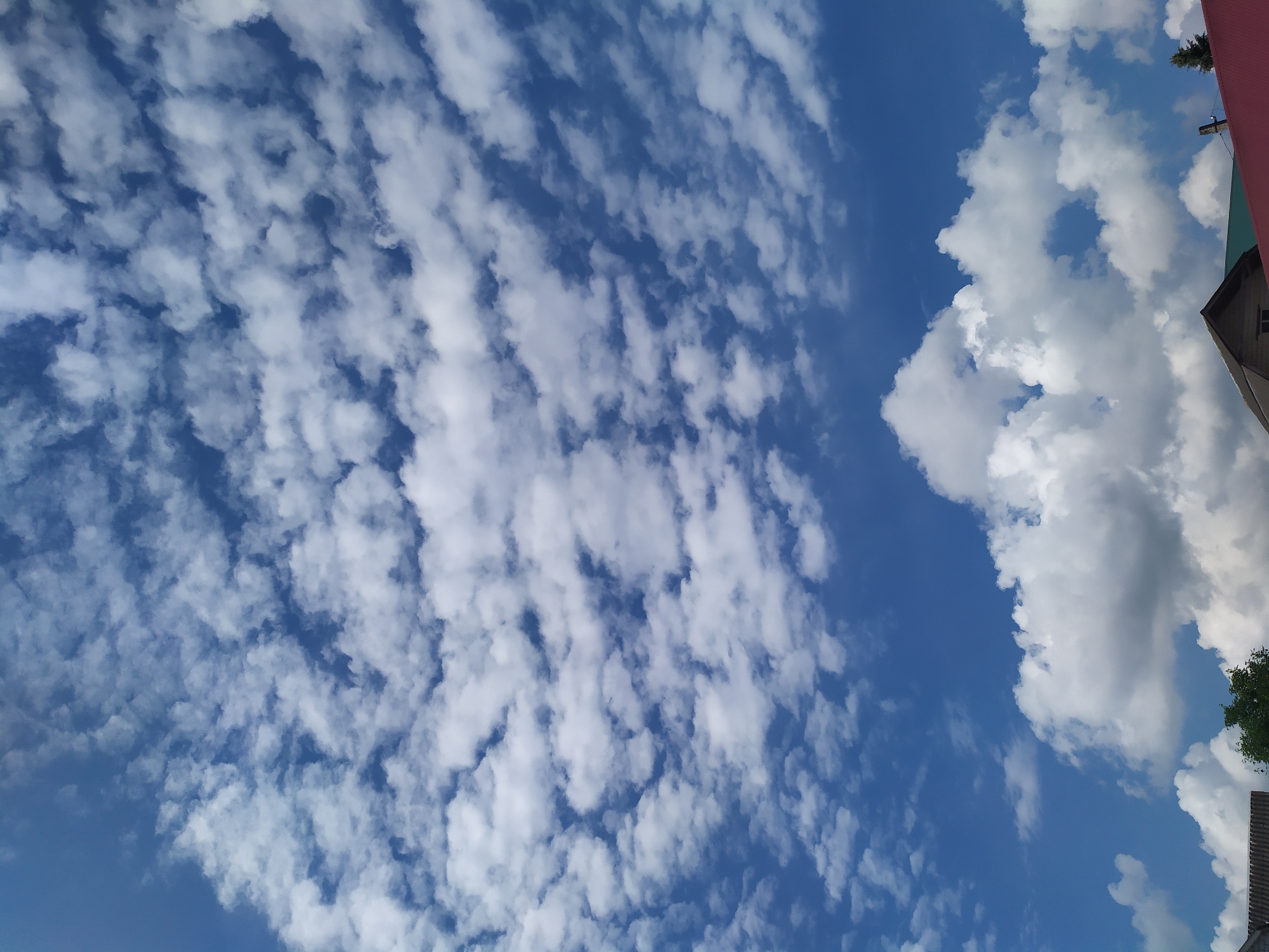 This is a vertical, eye-level photograph of a bright blue sky filled with scattered, wispy white clouds. The clouds are denser and larger in the lower portion of the frame, forming fluffy formations, some with shadowed undersides, suggesting a sunny day. In the bottom third of the image, the rooftops of houses are visible, with one roof being red and another a darker color with visible shingles. A green tree is partially visible on the left side. The scene appears to be in a rural or suburban area, possibly the city of Turka, Ukraine, given the presence of residential rooftops and vegetation. There are no people or animals visible in the frame. The overall lighting is bright, indicating daylight.