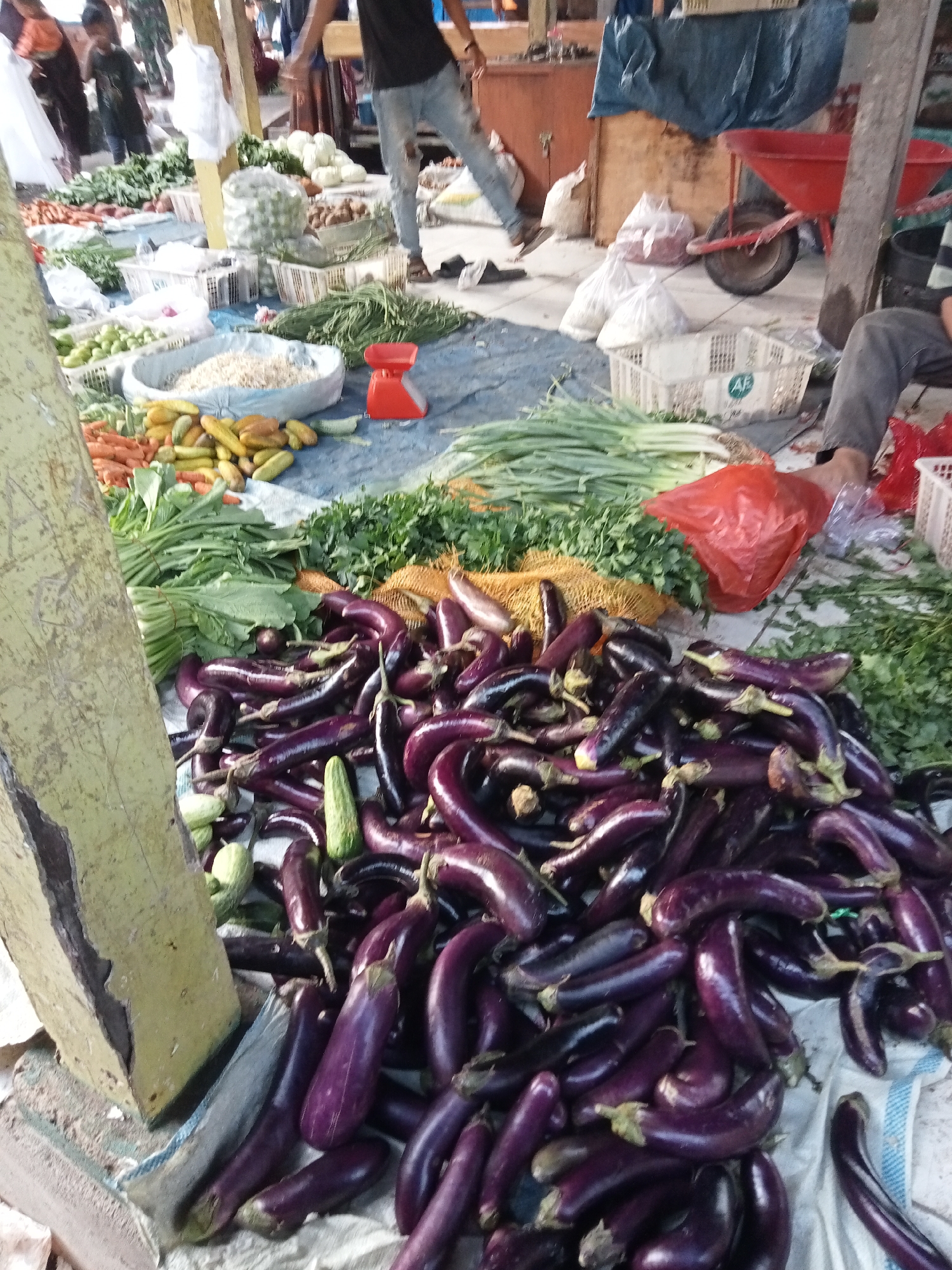 A street market scene in Ujung Tanjung, Indonesia, displays a wide variety of fresh produce. Piles of dark purple eggplants are prominently featured in the foreground, with some green cucumbers and lighter colored vegetables mixed in. Behind the eggplants, there are bundles of green leafy vegetables and carrots. Further back, various other vegetables and items are visible, including what appears to be rice in a large bowl and a red weighing scale. Several individuals are present in the background, some appearing to be vendors or shoppers, engaged in activities typical of a market environment. The overall setting suggests a bustling outdoor market with a focus on agricultural goods.