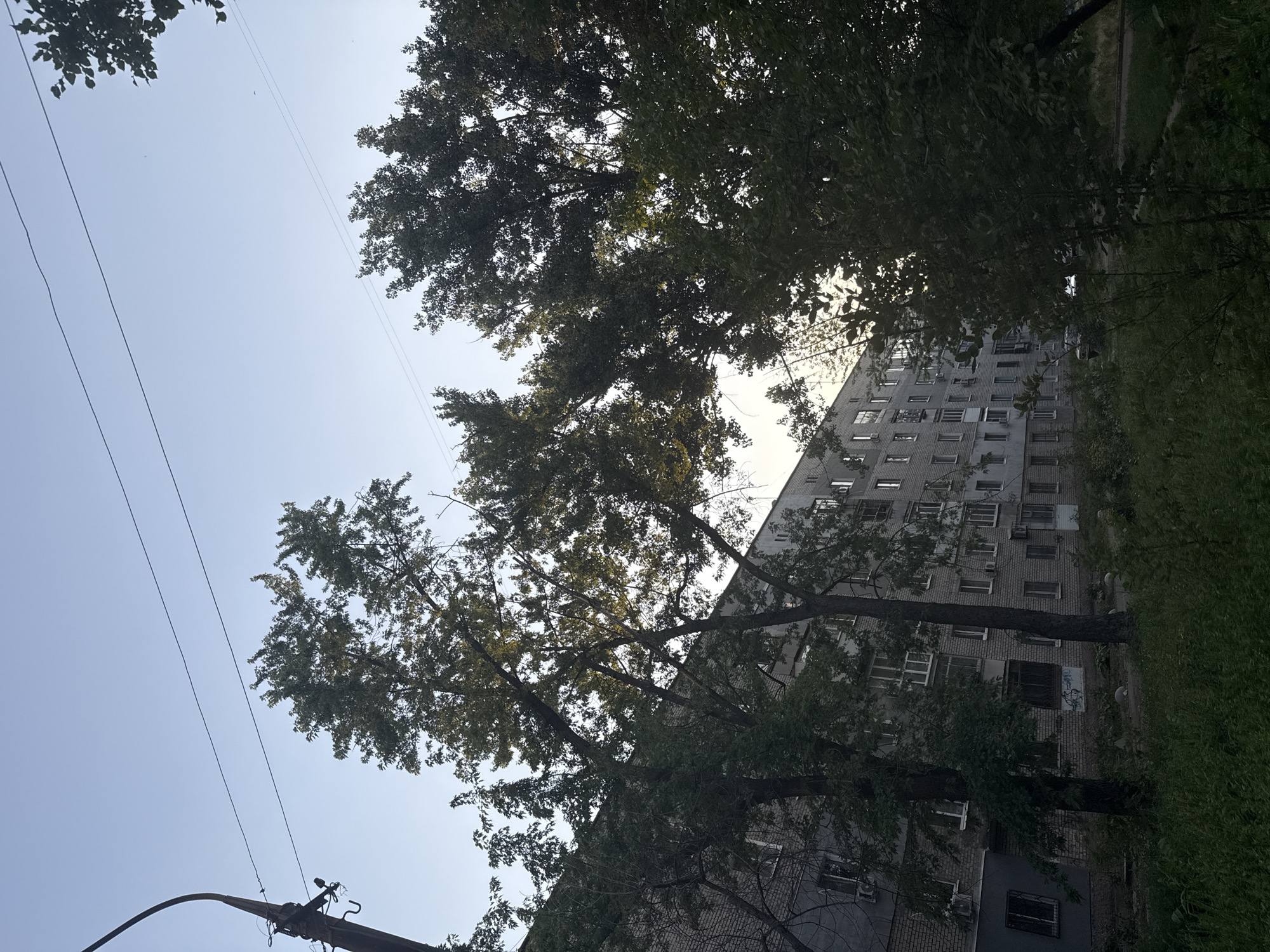 The image depicts a view of a residential building in Zaporizhzhia, Ukraine, with trees in the foreground and a clear sky above. The building appears to be a multi-story apartment complex, constructed with light-colored brick. Windows of various sizes and configurations are visible on the facade. Several trees, with dense green foliage, are positioned between the viewer and the building, partially obscuring it. The sky is a pale blue, suggesting it is daytime, possibly late afternoon or early morning, given the lighting. A street lamp and power lines are also visible on the left side of the image. The ground in front of the building is covered with grass and some smaller plants. There are no people or animals visible in the scene, and no specific actions or interactions are captured. The overall impression is a quiet, urban residential setting.