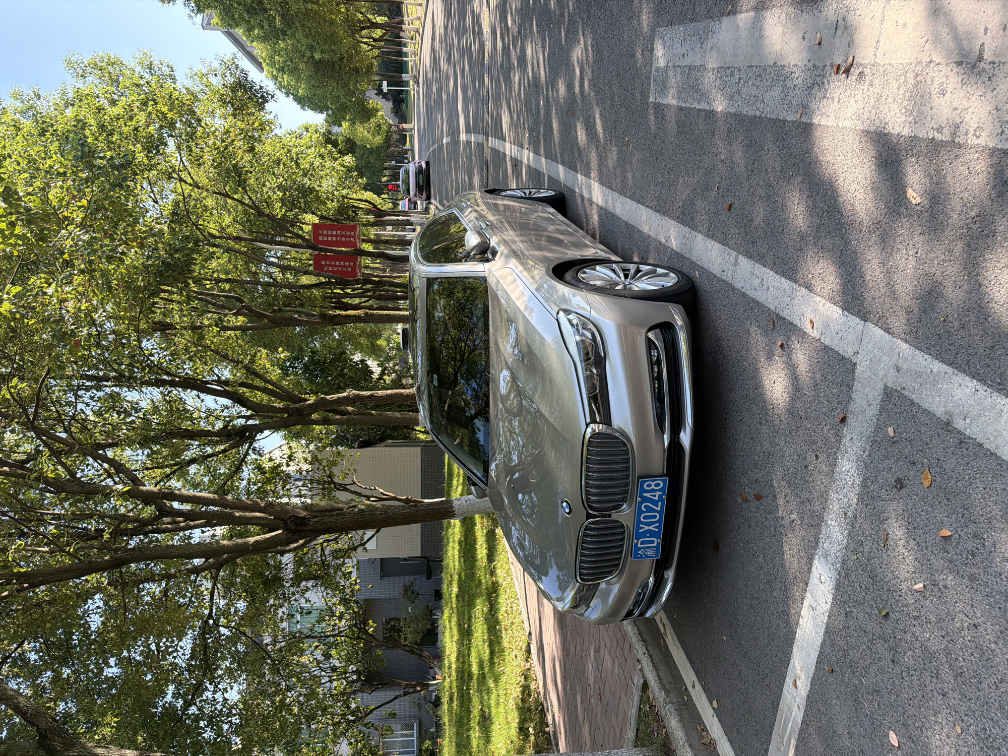 A silver BMW sedan, license plate "D-X0248", is parked on the right side of a paved road lined with trees. The car is positioned in a parking spot marked by white lines, with its front facing slightly to the right. Sunlight filters through the leaves of the trees, casting dappled shadows on the road. In the background, a pink car is visible further down the road, and red banners with Chinese characters hang from poles on the left side. Buildings and a grassy area with trees are visible to the left of the parked car. The scene appears to be a quiet street in the city of Jiangjin, China, likely on a sunny day given the strong shadows.
