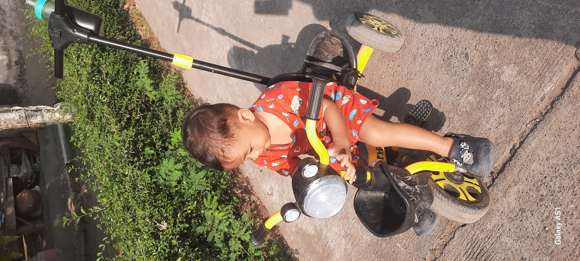 A young child wearing a red shirt with a pattern of vehicles is sitting on a yellow and black tricycle. The tricycle has a black basket in the front, and a handle with a cup holder and a baby bottle attached. The child is looking down at their hands, which are resting on the tricycle's handlebars. The tricycle is on a concrete path, with a lush green hedge in the background. The lighting suggests it is daytime, with shadows cast on the path. The scene is outdoors. The location is Ploso, Indonesia.