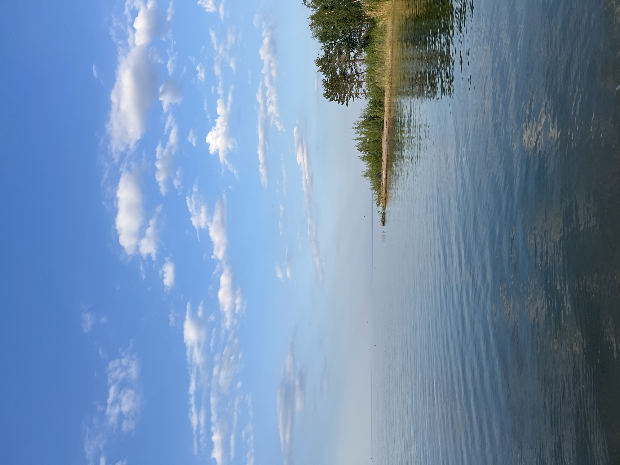The image displays a tranquil natural scene, likely a lake or large body of water, bordering a wooded shoreline. The water is calm, with gentle ripples reflecting the sky and surrounding trees. The shoreline is densely vegetated with trees and reeds, suggesting a natural, undeveloped area.
The sky is a clear, bright blue, dotted with fluffy white clouds. The light suggests it is daytime, likely late morning or early afternoon, given the brightness and the gentle shadows cast by the trees. The overall mood is peaceful and serene, evoking a sense of calm and natural beauty.
There are no visible people or man-made objects, emphasizing the untouched quality of the landscape. The scene could be a secluded spot in a park or a natural reserve.
The image is oriented vertically, with the sky occupying the left side and the water and shoreline on the right. This orientation might suggest a perspective from a boat or a vantage point near the water's edge. There is no visible text in the image.