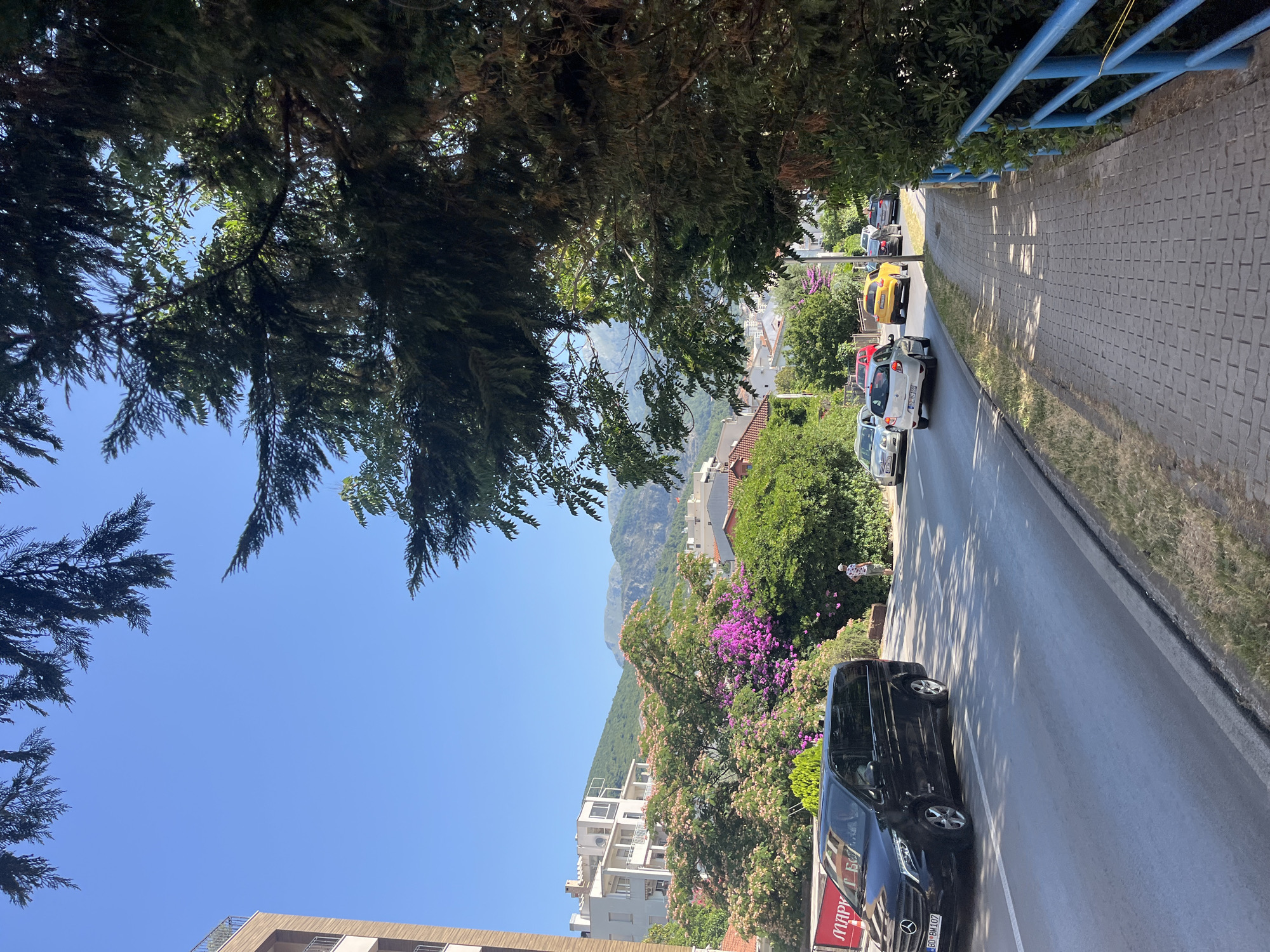 The image shows a street scene in Budva, Montenegro, on a clear day. In the foreground, a paved sidewalk runs alongside the street, bordered by a blue metal railing. A black Mercedes-Benz minivan with license plate "BO BM 107" is driving on the left side of the road. Several other cars are visible on the road, including a white hatchback, a yellow sedan, and a few others further down. On the right side of the road, there are lush green trees and bushes, with some flowering pink and purple plants. In the background, residential buildings with white facades and balconies are visible, nestled against rolling green hills and mountains under a bright blue sky. A person in a patterned shirt and white cap is standing near the side of the road, looking towards the buildings. The overall impression is of a sunny day in a coastal town.