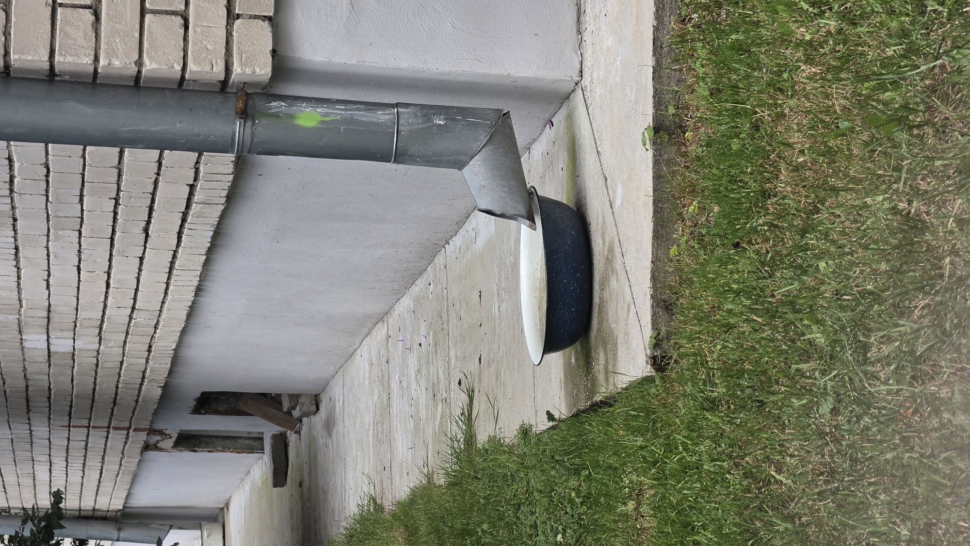 The image shows a downspout from a brick building directing water into a dark blue metal basin filled with water. The basin is placed on a concrete walkway next to a patch of green grass. The building has a textured grey foundation wall beneath the brick facade. There are two small openings in the foundation wall, one of which contains some wood debris. The scene appears to be outdoors, possibly in a residential or commercial area. No people are visible in the image. The lighting suggests it is daytime.