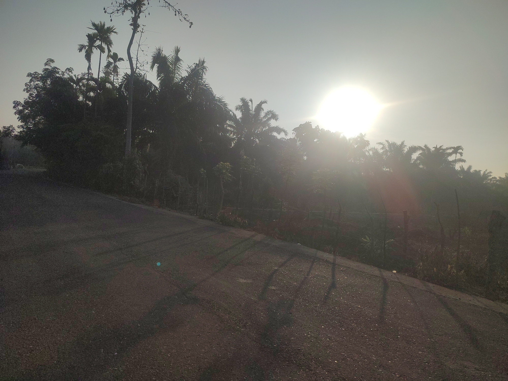 The image shows a road located in a rural area of Pantonrayeuk Satu, Indonesia, at sunrise. The sun is high in the sky, obscured by a slight haze. The road is paved, and stretches into the distance. To the left and right of the road are trees and vegetation, with some shadows of fence posts visible across the road surface.