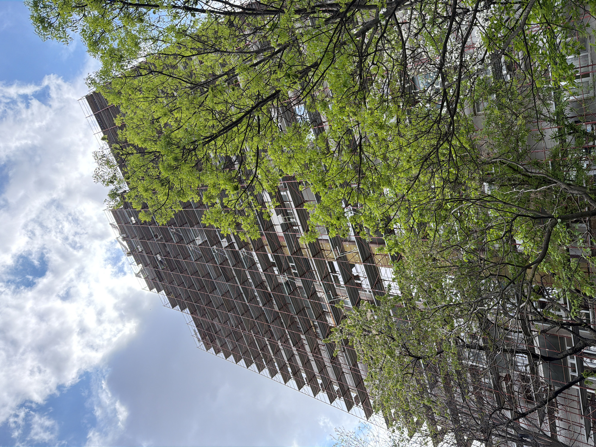 An upward-angled view shows a tall, rectangular building, likely an apartment block, framed by tree branches laden with green foliage. A grid of metal scaffolding covers a significant portion of the building's facade. The building is located in Plovdiv, Bulgaria. The sky, a mix of blue and cloudy, fills the remaining space. No people are visible. The building appears to be undergoing renovation or maintenance.