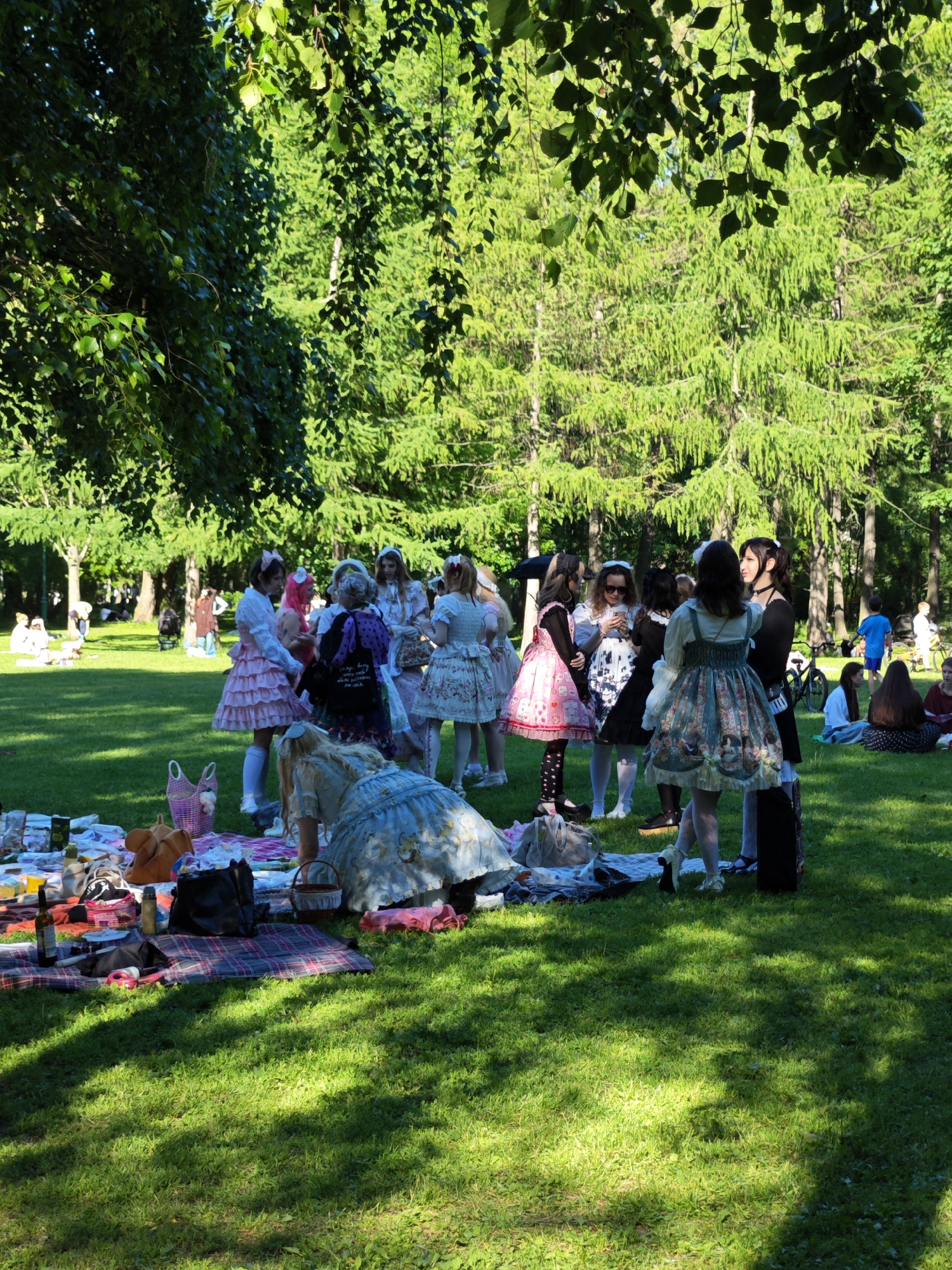 This image captures an outdoor gathering in a park in Saint Petersburg, Russia, under bright daylight. In the foreground, a checkered picnic blanket is spread on the green grass, holding a dark glass bottle, a thermos, a black handbag, a small woven basket, and various other items.
The midground is populated by approximately 10-15 individuals, primarily young adults, many of whom are dressed in distinct Lolita fashion. A person in a light blue Lolita dress with an elaborate print is seen kneeling or bending near the picnic blanket on the left. Other attendees are standing in small groups, engaged in conversation. Their attire includes a pink tiered Lolita dress, a white blouse with a dark skirt, a dark purple dress with white lace details, and a cream-colored dress featuring a floral pattern. Many accessorize with bows, headpieces, and white knee-high socks or stockings.
The background reveals a spacious park environment with more people scattered across the manicured green lawn, some seated under deciduous trees. A man in a blue t-shirt and shorts stands further back, and a bicycle is parked near a cluster of tall coniferous trees on the right side of the frame. The park features a mix of dense green foliage from both deciduous and coniferous trees. Strong sunlight casts distinct shadows on the grass, indicating a clear, sunny day.