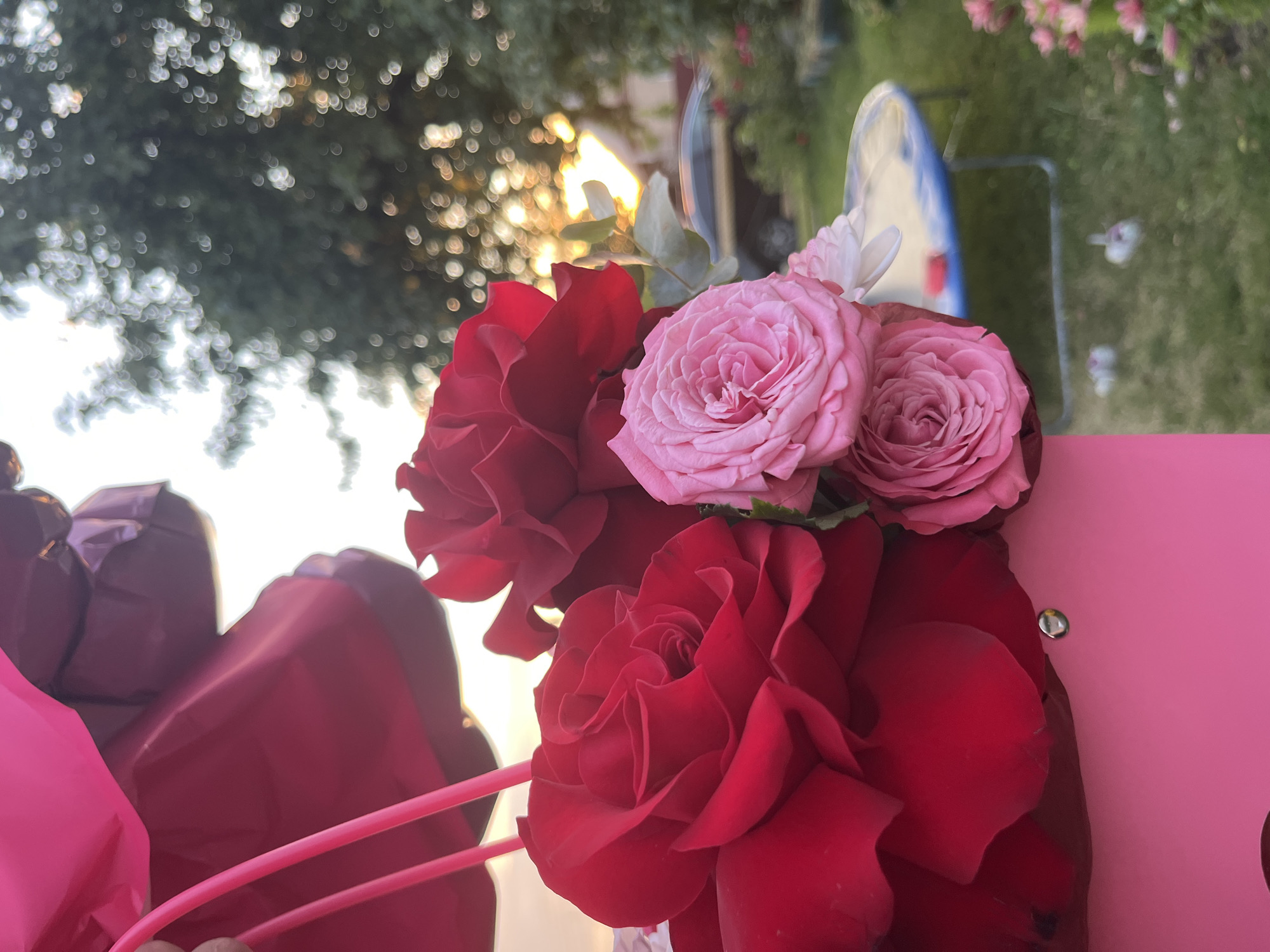 A close-up shot features a bouquet of red and pink roses emerging from a pink container. The roses are the primary focus, with their petals unfurling. In the background, out-of-focus elements include greenery, trees, and what appears to be a car. The setting suggests an outdoor environment, possibly a garden, under natural lighting, with the sun visible in the distance. The image is taken in the vicinity of Sarotsk village, Belarus.