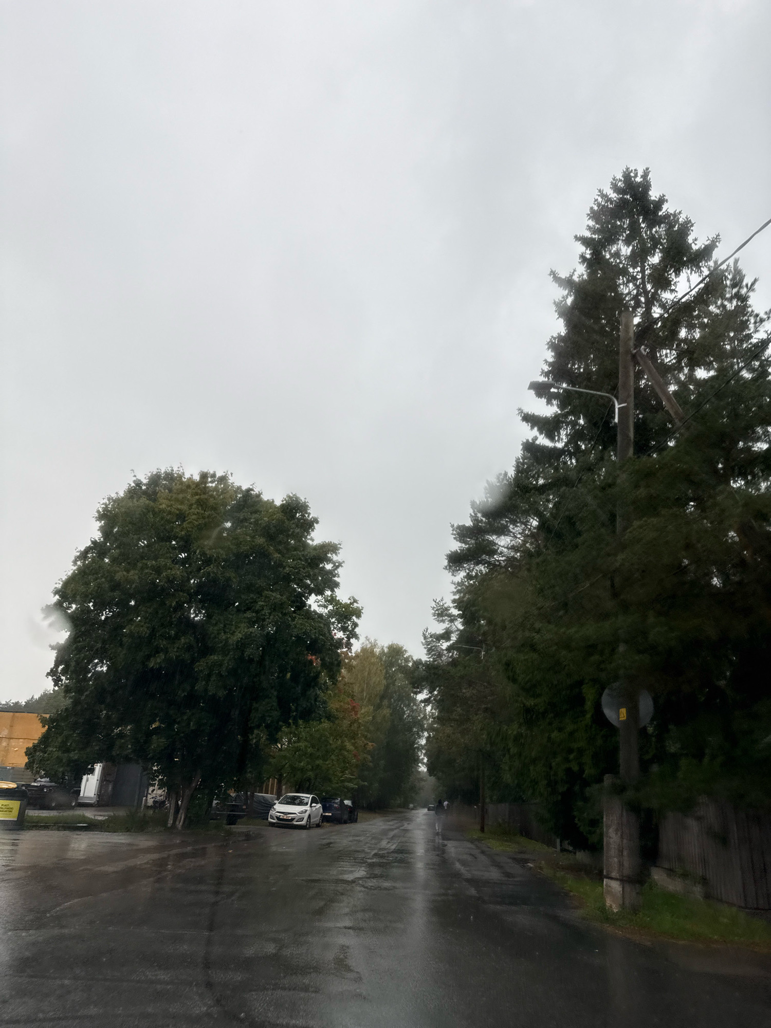 A wet, paved road curves through a tree-lined suburban or rural area under an overcast sky. The road surface is dark and reflective, indicating recent rain. On the left, a large deciduous tree with dark green foliage stands near a building with a yellow facade. Several cars are parked on the side of the road, including a white hatchback and a dark-colored sedan.
Further down the road, the trees become denser and taller, predominantly evergreens, with a tall wooden pole supporting a streetlamp and power lines. A wooden fence runs along the right side of the road. In the distance, a few figures are walking along the road. The overall atmosphere is subdued, consistent with a damp, cloudy day. The presence of streetlights, power lines, and parked cars suggests a residential or semi-developed area within or on the outskirts of Tallinn, Estonia.