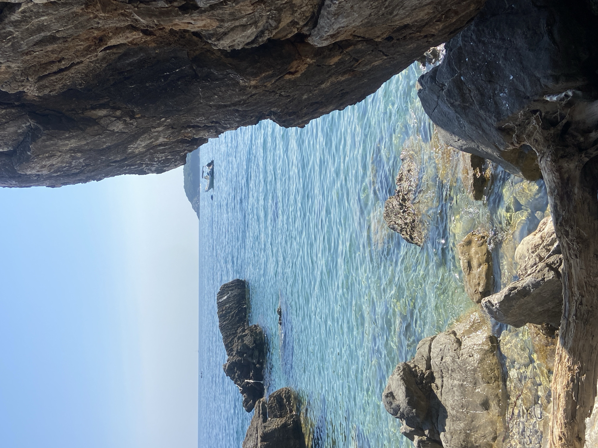 A bright, sunny day at a rocky coastline in Prijevor, Montenegro, showcases the clear, turquoise waters of the Adriatic Sea. In the foreground, several large, dark rocks form the edge of the shore, with a weathered piece of driftwood resting horizontally in the lower part of the frame. The water is calm and transparent, revealing the pebbles and smaller rocks beneath the surface. Further out, more dark, rugged rocks emerge from the sea, some partially submerged. In the distance, a small white motorboat with a canopy is visible on the water, and beyond that, a hazy green island rises from the sea. The sky is a clear, pale blue, with the sun casting bright light and creating reflections on the water. A massive, textured rock face dominates the right side of the image, partially obscuring the view of the sea and sky.