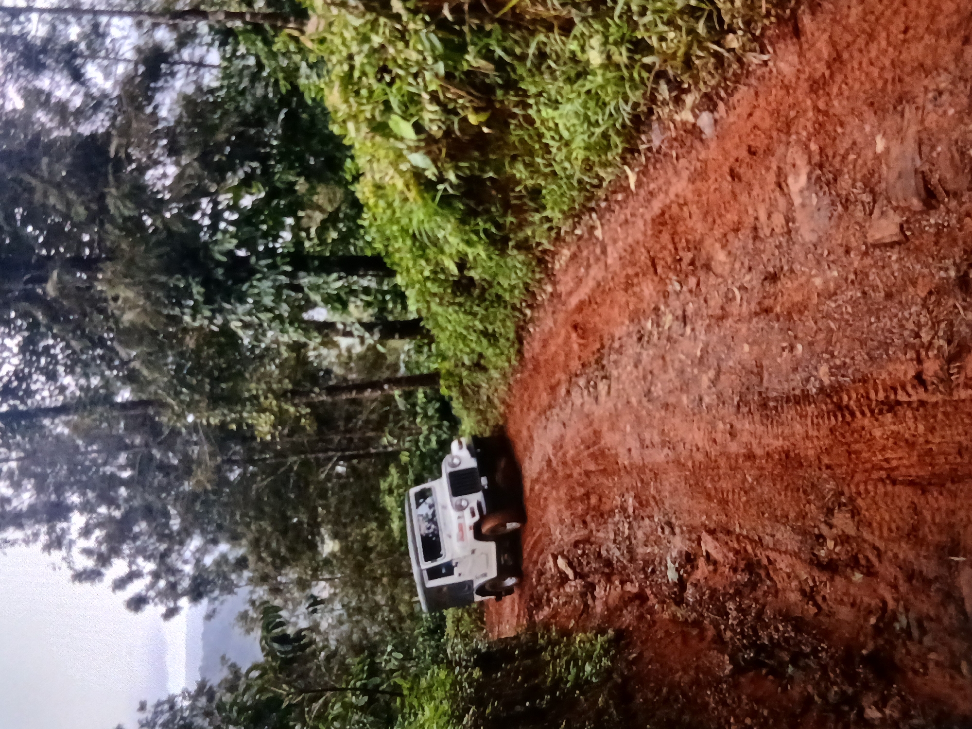 The image shows a white vehicle driving on a red dirt road surrounded by lush green vegetation. The location is in a rural area, likely on the outskirts of Bengaluru, India, given the tropical foliage and red soil which are characteristic of the region. The vehicle is on a narrow, unpaved road. The surrounding area consists of dense foliage, with trees lining the road on both sides. The lighting suggests it is daytime, possibly overcast. There are no people visible in the image.