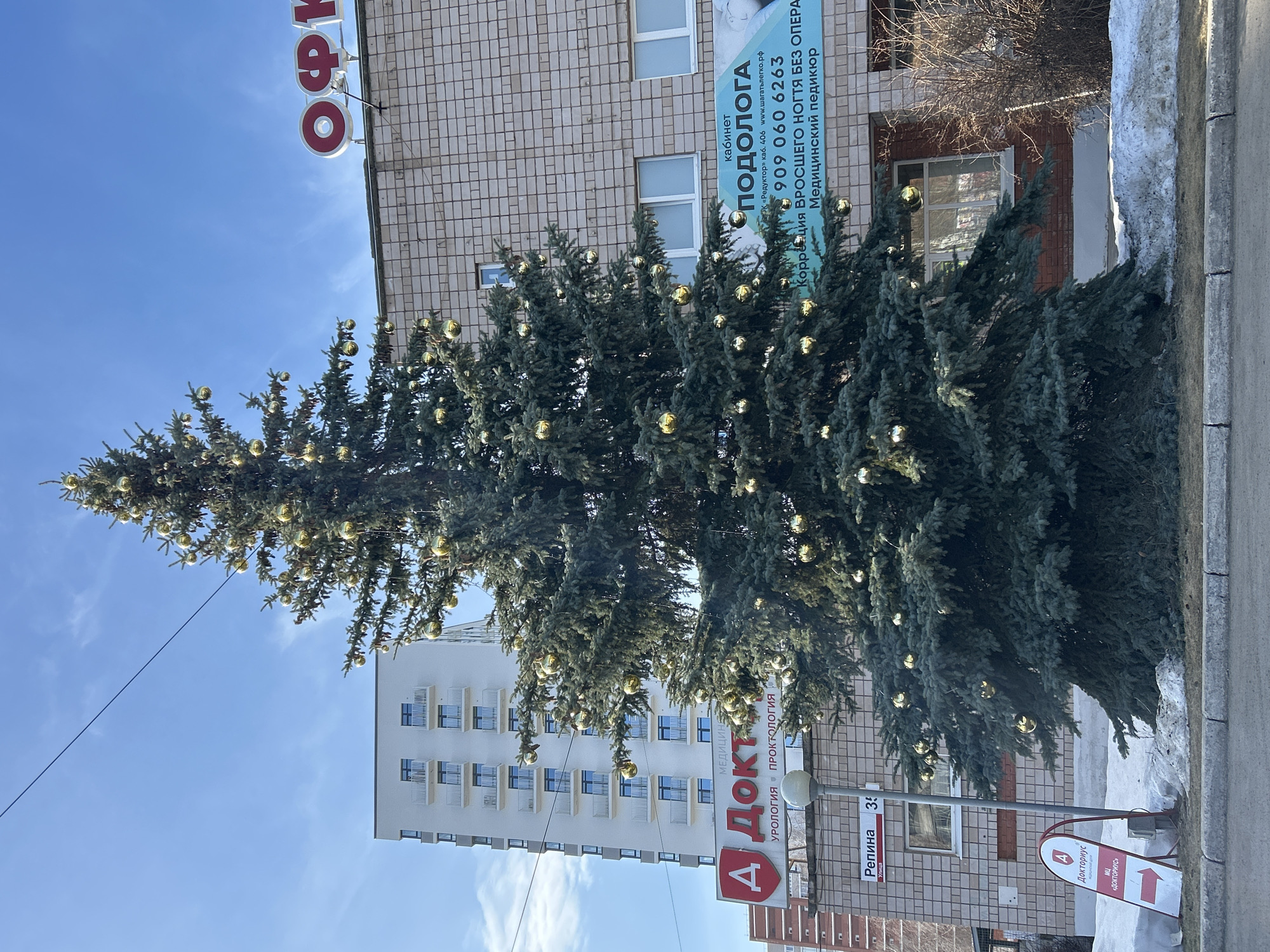 The scene depicts a street view at Repina Street 35 in Izhevsk, Russia, under a clear blue sky with minimal scattered clouds. A large, decorated evergreen tree, adorned with numerous gold spherical ornaments, stands prominently in the center, partially obscuring the buildings behind it.
To the right, a two-story building with light-colored brick or tile cladding features a partial red "ОФИ" sign on its roofline and a blue sign for a "ПОДОЛОГА" (Podologist) office on its facade, advertising "Коррекция вросшего ногтя без операции" (ingrown toenail correction without surgery) and "Медицинский педикюр" (medical pedicure), along with a phone number. Bare bushes are visible near this building.
To the left, a tall, modern, white multi-story building with repeating balconies featuring metal railings is visible. A red and white sign below it displays "А ДОКТОРУС" (Doctorus) and indicates "УРОЛОГИЯ * ПРОКТОЛОГИЯ" (Urology * Proctology). A white A-frame sign pointing right, also for "Докторус медицинский центр," rests on the ground near the tree. A street sign pole displays "Репина 35" and "Улица" (Street).
The foreground shows patches of melting snow along the curb and at the base of the tree, indicating cold weather conditions. An asphalt road is visible at the bottom of the frame. A single black utility wire extends diagonally across the upper left portion of the sky. No individuals are present in the scene.