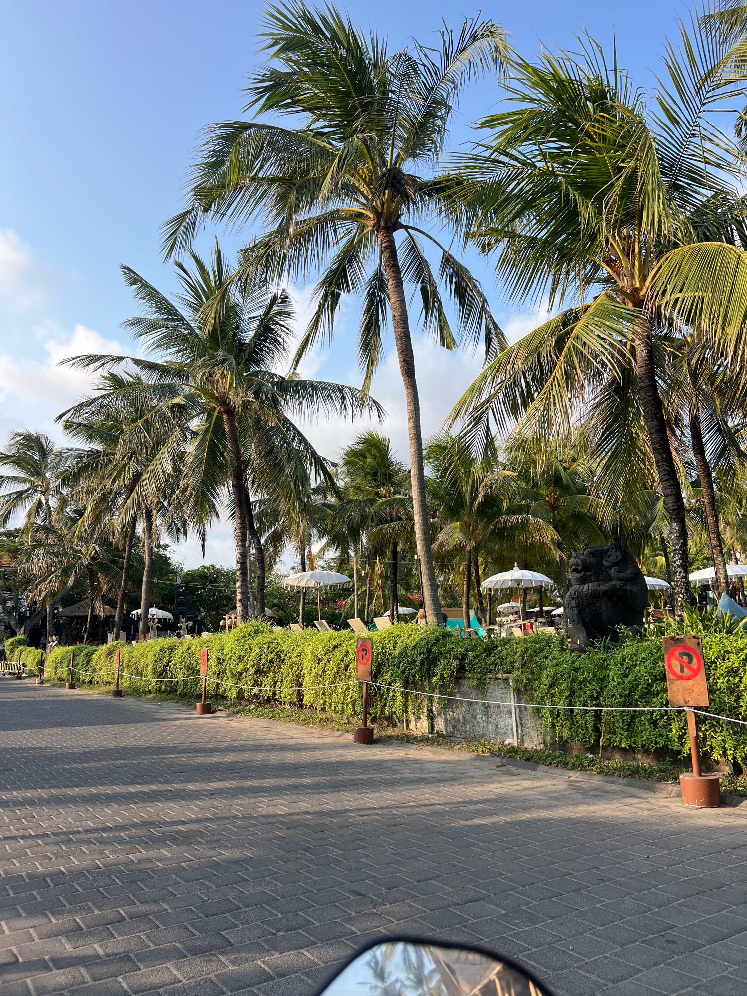 The image depicts a paved walkway lined with lush green bushes and numerous tall palm trees, under a clear blue sky with scattered clouds. The walkway is made of interlocking grey bricks and is illuminated by sunlight, casting shadows. On the right side of the walkway, there are two "no parking" signs with red circles and a diagonal line over the letter "P." Behind the bushes, a stone statue of a creature, possibly a lion or dragon, is visible, along with white umbrellas and lounge chairs, suggesting a resort or hotel setting in Kuta, Indonesia. The scene conveys a tropical, relaxed atmosphere typical of a beach resort town.