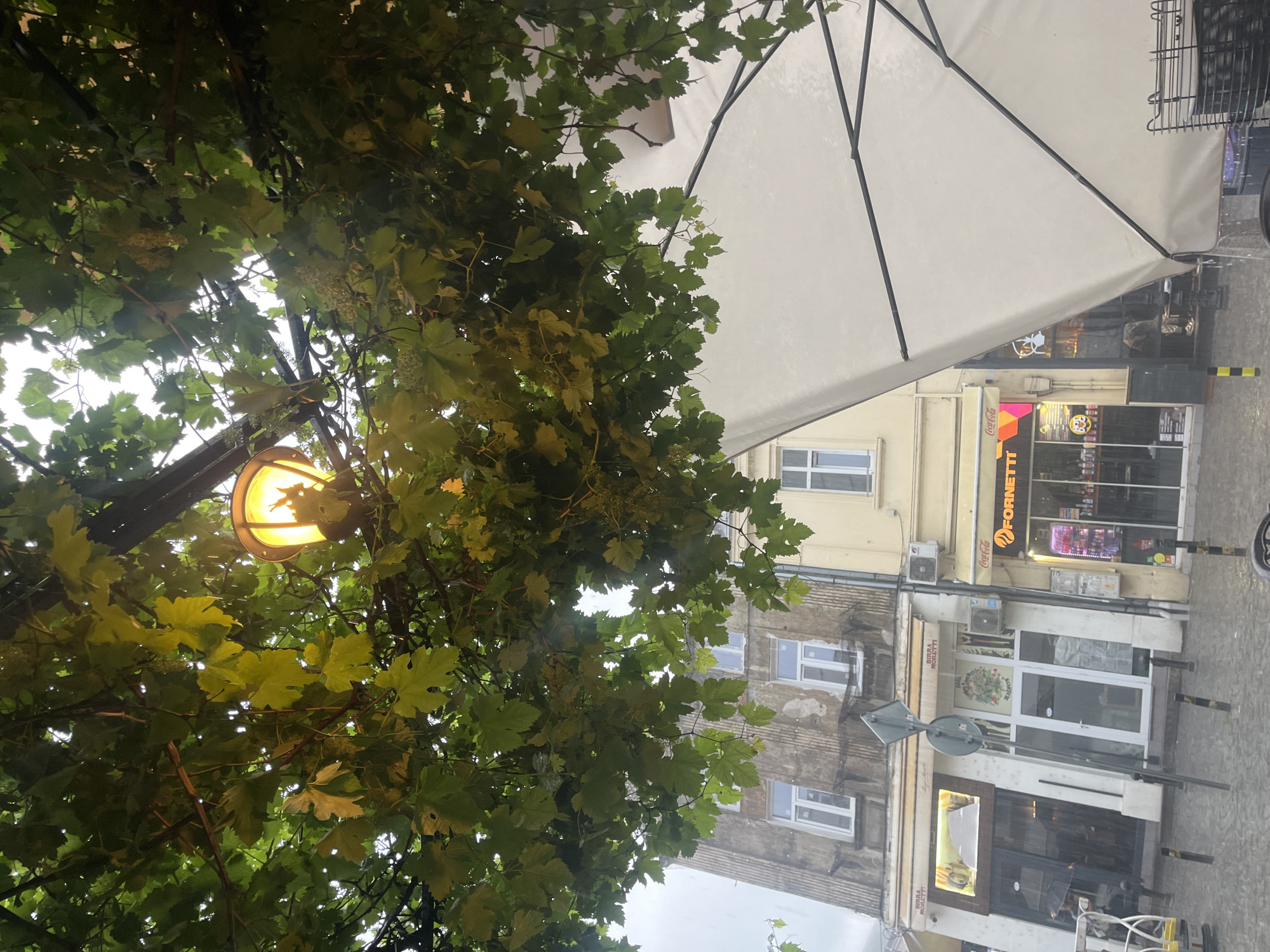 The image shows a street scene in Plovdiv, Bulgaria. The perspective is from beneath a tree with green leaves and a hanging street lamp emitting a warm yellow light. The building facades are visible, including a shop with a "FORNETTI" sign and a "Coca-Cola" advertisement. A white awning is partially visible. The street appears to be paved and possibly wet, suggesting it might have recently rained. No people are clearly visible.