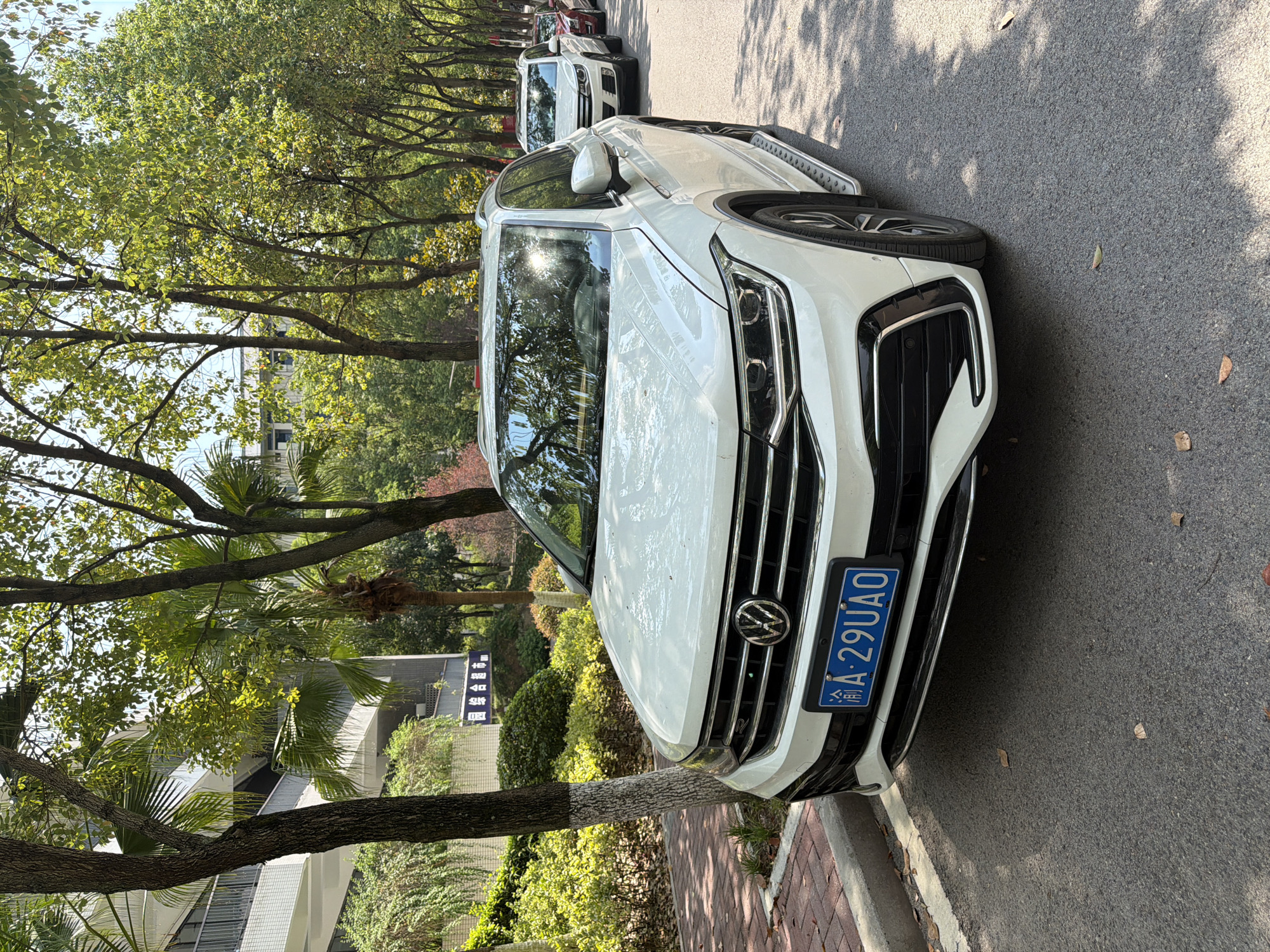 A white Volkswagen Tiguan SUV is parked on the right side of a paved street lined with trees and a sidewalk. The vehicle has a blue license plate with Chinese characters and the alphanumeric combination "A·29UA0". The street is sunlit, with dappled shadows cast by the trees onto the asphalt and the car. In the background, there is a building with multiple floors and balconies, and lush green vegetation. The scene appears to be in a residential or commercial area with ample greenery. The image was taken from a low angle, slightly to the left of the car. The overall impression is one of a well-maintained urban environment on a bright, clear day. Based on the license plate, the image is likely located in Jiangjin District, Chongqing, China.