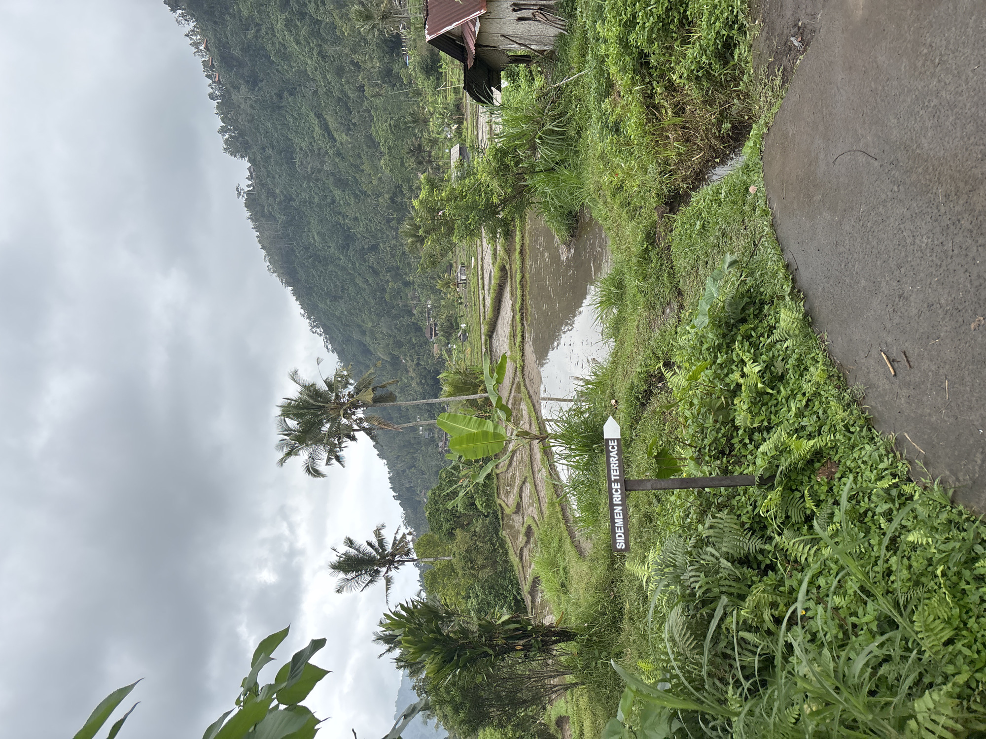 The image depicts the Sidemen Rice Terrace in Sidemen, Indonesia, under a cloudy sky. The scene features tiered rice paddies filled with water, reflecting the overcast sky and surrounding greenery. A narrow, muddy path leads into the frame from the lower right, bordered by lush vegetation. To the left of the path, a wooden sign with white lettering reads "SIDEMEN RICE TERRACE" and points to the right. Coconut trees and other tropical foliage are scattered throughout the landscape. In the mid-ground, several small buildings with corrugated metal roofs are visible, nestled among the trees and rice fields. The background is dominated by a densely forested hillside, suggesting a rural, mountainous environment. No people are present in the image.