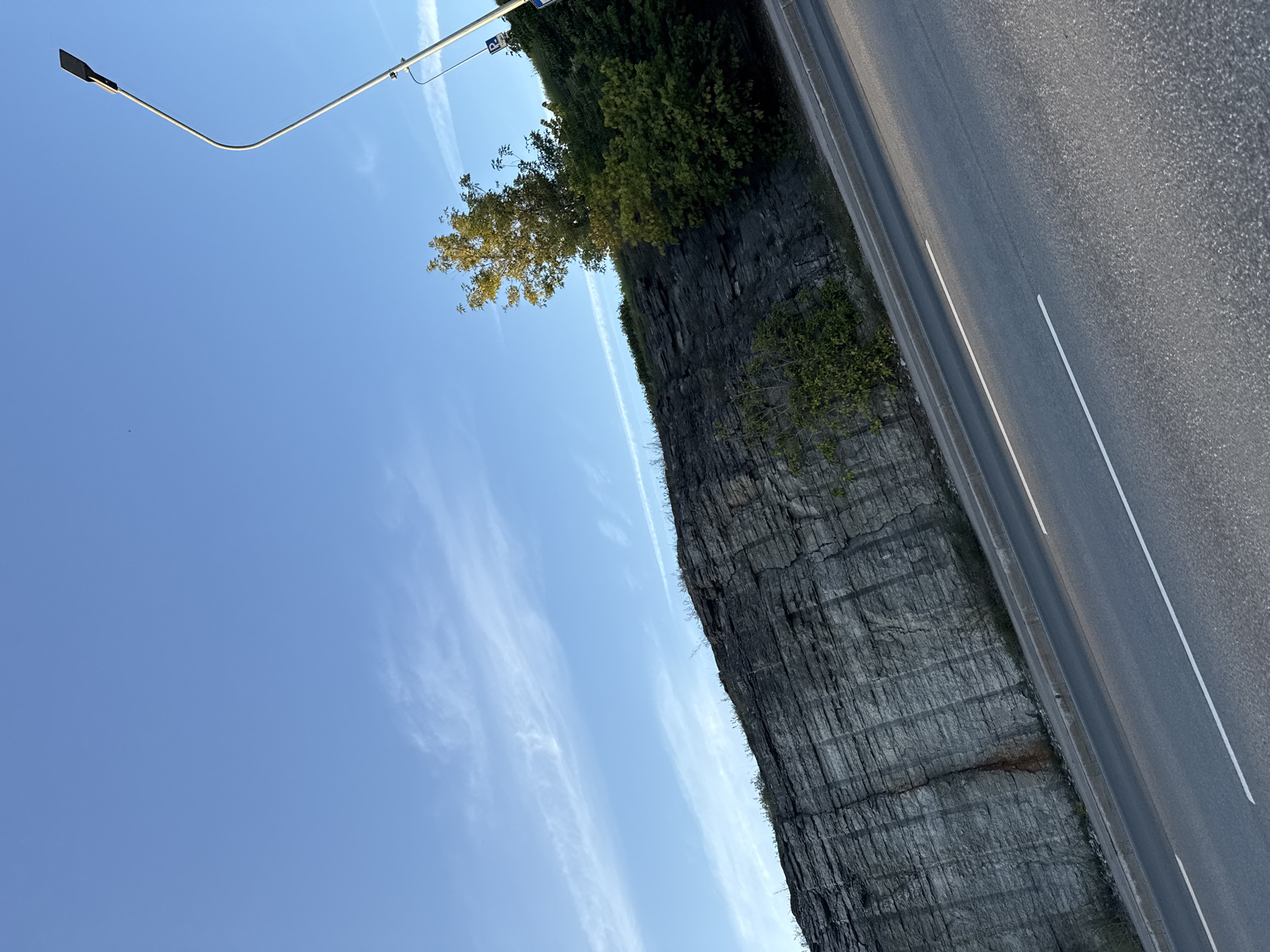 The image captures a striking natural cliff face, possibly limestone, bordering a paved road. The cliff is layered and textured, with a growth of sparse vegetation along its crest. Several trees, some with autumnal foliage, are visible near the top of the cliff, with one particularly prominent tree reaching towards the sky. A modern street lamp with a dark, angular fixture stands on the right side of the frame, its pole bending in a gentle curve. A blue parking sign is affixed to the lamp post. The road itself is asphalt with two white lane markings. The sky above is a clear, bright blue with a few wispy, elongated clouds stretching across it. The scene suggests an urban or semi-urban environment in Tallinn, Estonia, where such geological formations are sometimes encountered alongside infrastructure. There are no people or vehicles visible in the image, and no apparent actions are taking place.