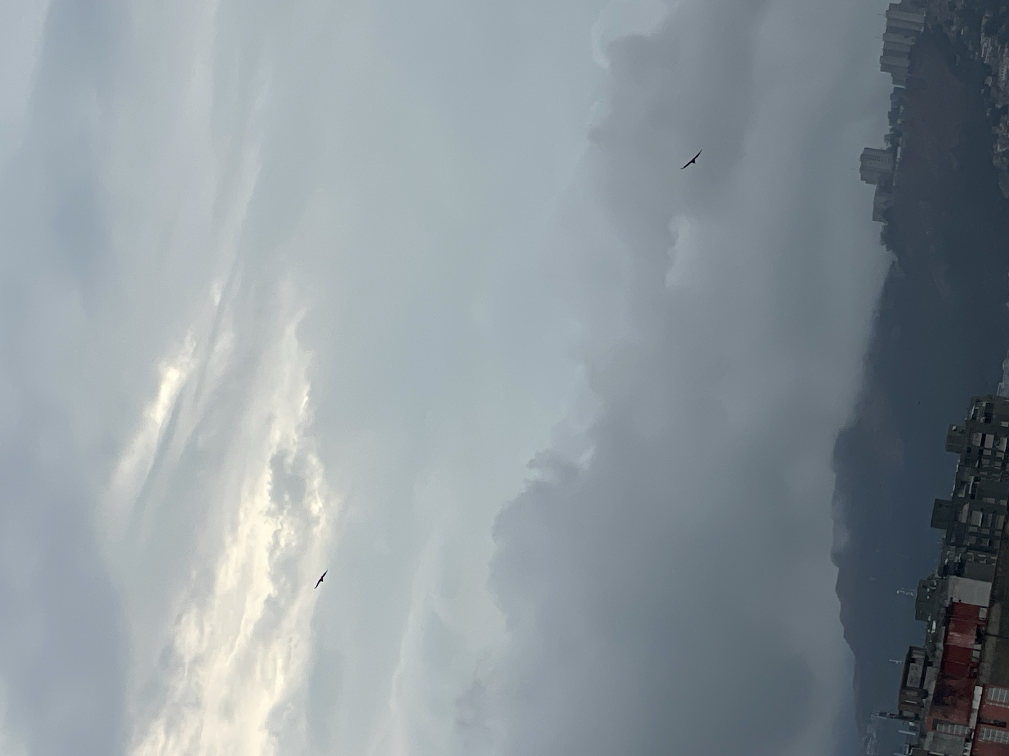 The image shows a cloudy sky above Caracas, Venezuela. Two birds are visible, one near the top-right and another near the bottom-left of the frame. The edge of a mountain and dense cityscape are seen along the right side. The buildings are densely packed and varying in height. The overall atmosphere is overcast.