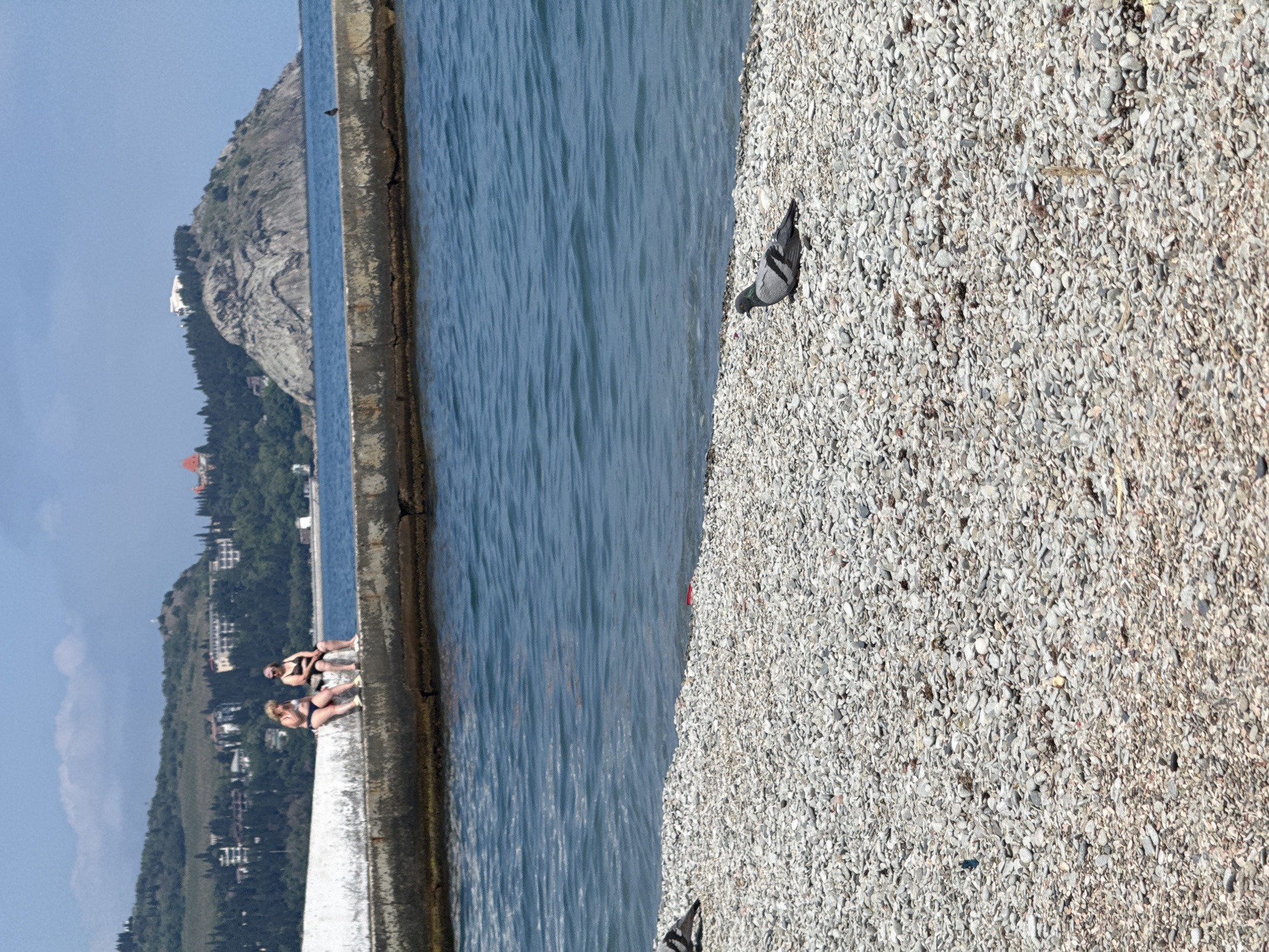 A medium shot shows a beach in Unknown, Unknown. The shoreline is composed of small white pebbles and a pigeon stands on the beach. To the left of the beach is the water line which flows horizontally and to the left of that is a cement barrier with two women sitting on it. There is a mountain in the background and a blue sky above.