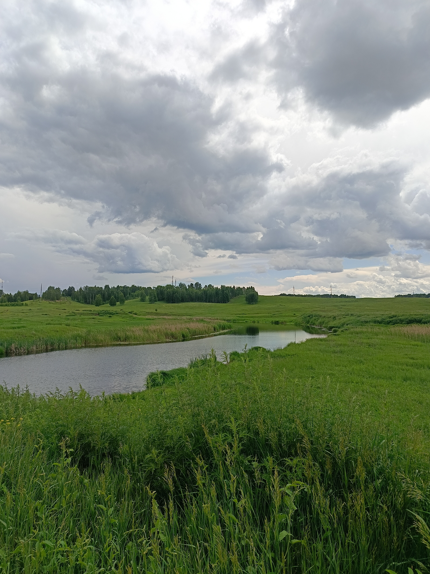 The image depicts a tranquil rural landscape under a cloudy sky, likely in or near the village of Kamennoye, Russia. The foreground is dominated by tall, lush green grass and reeds growing along the bank of a calm body of water, possibly a river or pond. The water reflects the overcast sky, creating a muted, silvery surface.
Beyond the water, a gentle, rolling green meadow stretches towards a treeline in the midground. The treeline consists of a dense collection of deciduous trees, primarily appearing to be birch and other leafy varieties, characteristic of the Russian countryside. In the distance, a few intermittent power line poles are visible against the horizon, suggesting some level of infrastructure in the wider area.
The sky is filled with dramatic, heavy grey clouds, with patches of brighter, lighter sky peeking through in places. This suggests an overcast or possibly approaching stormy weather. There are no people, animals, or discernible structures other than the distant power poles, contributing to a sense of solitude and natural beauty. The overall impression is one of a serene, undeveloped natural environment.