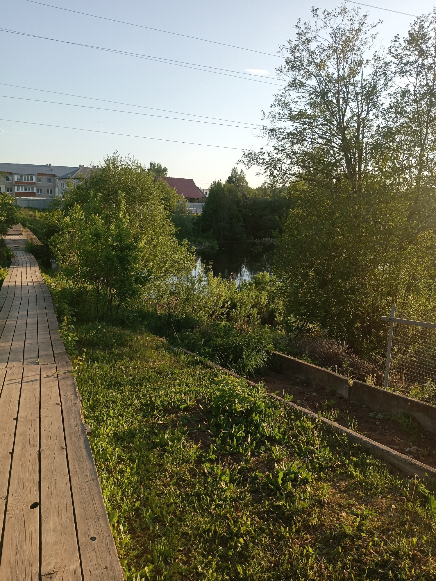 The image shows a wooden boardwalk running alongside a waterway in Фоки, Russia. A line of low-rise buildings is visible in the background to the left, while houses with red roofs peek through the trees in the center. The waterway is surrounded by dense vegetation, including trees, bushes, and grass. To the right of the boardwalk, there's a fenced-off area containing concrete planters with grass and weeds growing in them. Power lines stretch across the clear sky in the background.