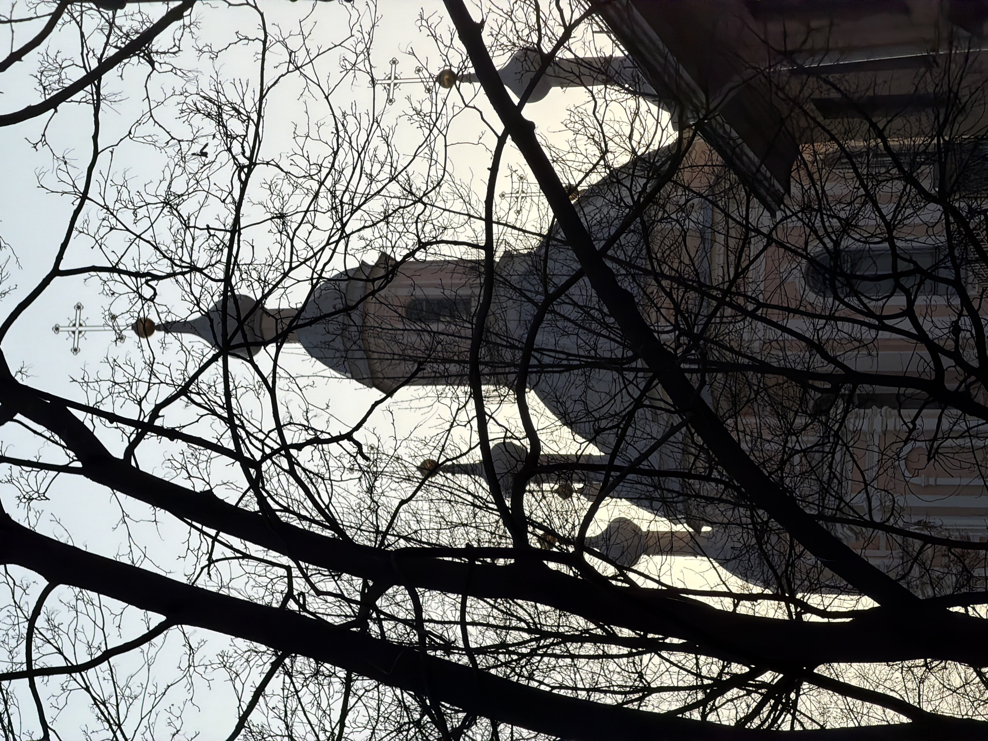 The image depicts a building in Saint Petersburg, Russia, as seen from a low angle through a web of bare tree branches. The building appears to be a church or cathedral, characterized by a dome topped with a cross. The sky is pale. The branches are silhouetted against the sky and the building. The image is oriented with the ground pointing upwards.