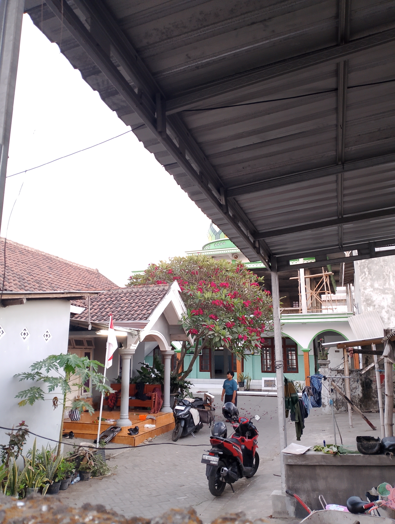 The image shows a residential area in Rembang, Indonesia, likely a courtyard or yard in front of a house and a mosque. The foreground is dominated by a covered patio with a corrugated metal roof, supported by metal beams. A black wire runs across the top of the frame.
In the middle ground, there is a house with a red tiled roof and white walls, featuring decorative diamond patterns. Next to it, an Indonesian flag is displayed on a flagpole. Adjacent to the house is a mosque with a green dome and light blue and white walls, with arched windows. A flowering tree with bright pink blossoms stands between the house and the mosque.
Several motorcycles are parked in the courtyard. A red motorcycle is prominent in the right foreground, and a black motorcycle is parked to its left. A man in a blue shirt is standing near the mosque entrance. Clothes are hung on a makeshift clothesline to the right of the mosque. There are also several potted plants, including a papaya tree, arranged near the house. The ground is paved with interlocking bricks.
In the far background, construction scaffolding is visible against the mosque building. The overall scene suggests a warm, possibly humid climate, characteristic of Indonesia.