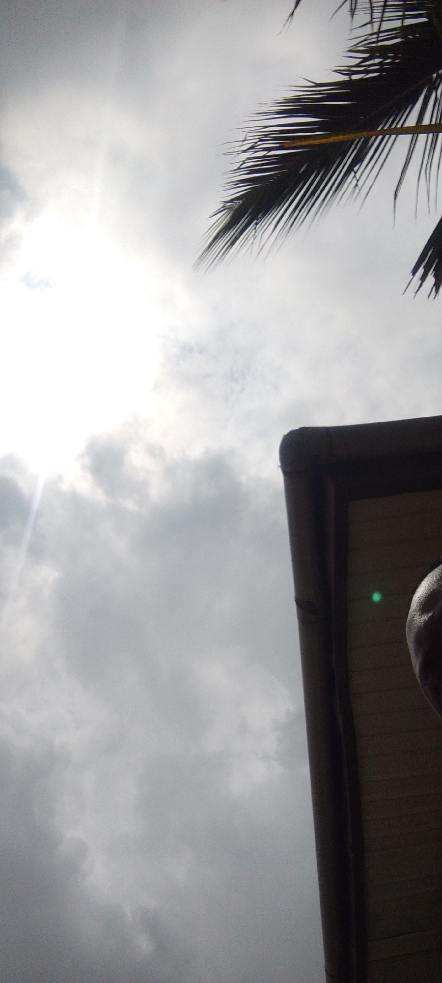 In Madalla, Nigeria, a photograph captures an overcast sky with a bright sun peeking through the clouds on the left side, casting a light flare. A palm frond is visible in the upper right corner, silhouetted against the sky. In the lower right quadrant, the edge of a dark gutter and the top of a pale yellow, horizontally paneled wall of a building are visible. A portion of a person's head, appearing shiny and dark, is also present on the far right edge of the frame. A small, circular green light artifact is present on the wall to the left of the person's head.