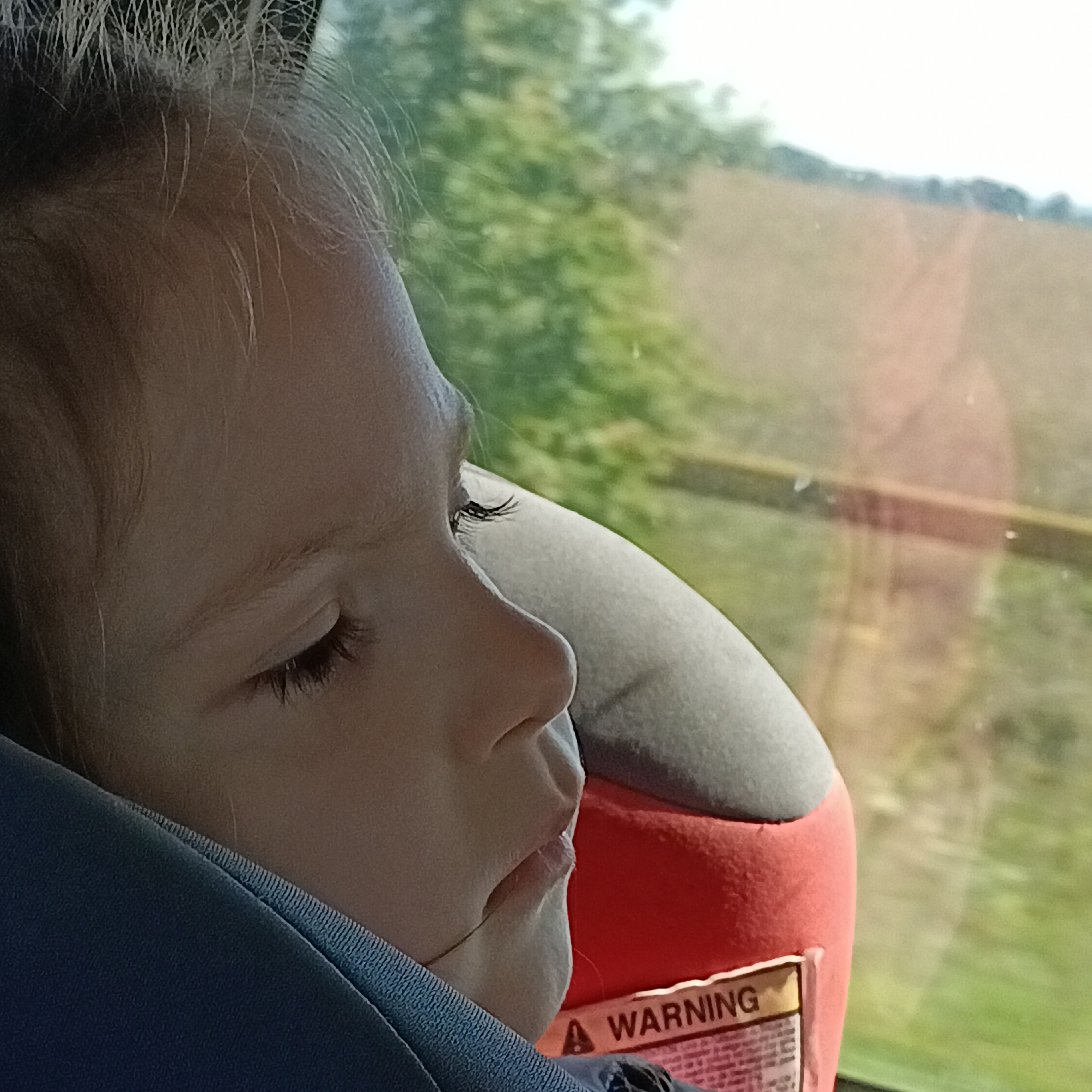 A close-up profile view shows a young child with closed eyes, appearing to be asleep or resting. The child is leaning against a car seat, which is red and gray, with a blue fabric covering the lower portion. The child's hair is light brown and appears windswept. Through a window behind the child, a blurry landscape of green trees and a brown field is visible under a bright sky. A yellow and black "WARNING" label is partially visible on the car seat. The scene is likely taking place in a vehicle in Rozhdestveno, Russia, given the context provided.