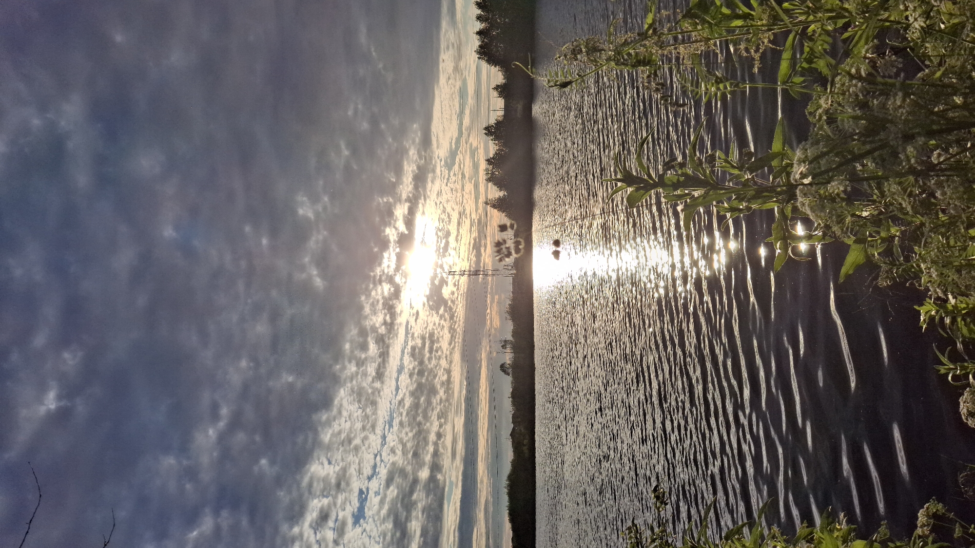 This is a vertically oriented, landscape photograph taken during sunset or sunrise. The scene depicts a body of water, likely a lake or river, with rippling water reflecting the light. On the right side of the image, green foliage from plants growing on the bank extends into the frame, partially obscuring the water's surface.
The sky is filled with dramatic clouds, some dark and moody, others illuminated by the sun. The sun itself is visible, casting a bright glare and creating a shimmering path of light across the water. In the distance, along the far bank of the water, a silhouetted line of trees is visible. A tall, slender structure, possibly a transmission tower or pylon, stands out against the sky near the treeline, with smaller structures also faintly visible in the distance.
The overall mood of the image is serene and natural, with the dramatic lighting from the sun and clouds creating a sense of awe. The time of day is clearly indicated by the low angle of the sun and the warm, golden light. The presence of the water, trees, and foliage suggests a natural, possibly rural or semi-rural, outdoor setting. There is no visible text in the image.
