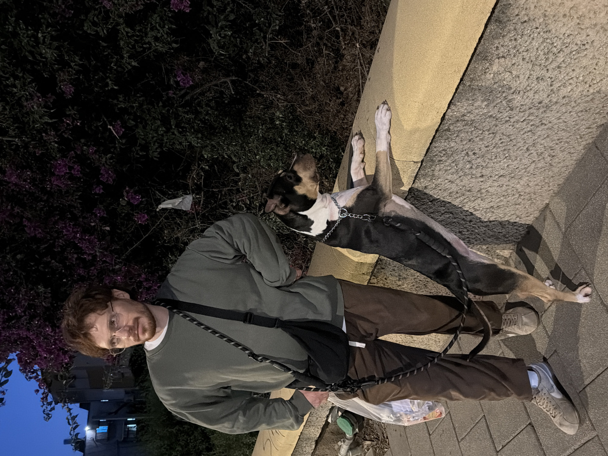 A man with red hair and glasses stands on a sidewalk in Tel-Aviv, Israel, holding the leash of a dog. The dog has its front paws on a low concrete wall. The man is wearing a green sweatshirt, brown pants, and sneakers, and a black bag is slung across his chest. The dog is black, white, and brown, wearing a chain collar. A bush with purple flowers is behind the man. The background shows some buildings and lights. The sidewalk is paved with rectangular stones. Trash is visible in the gutter.