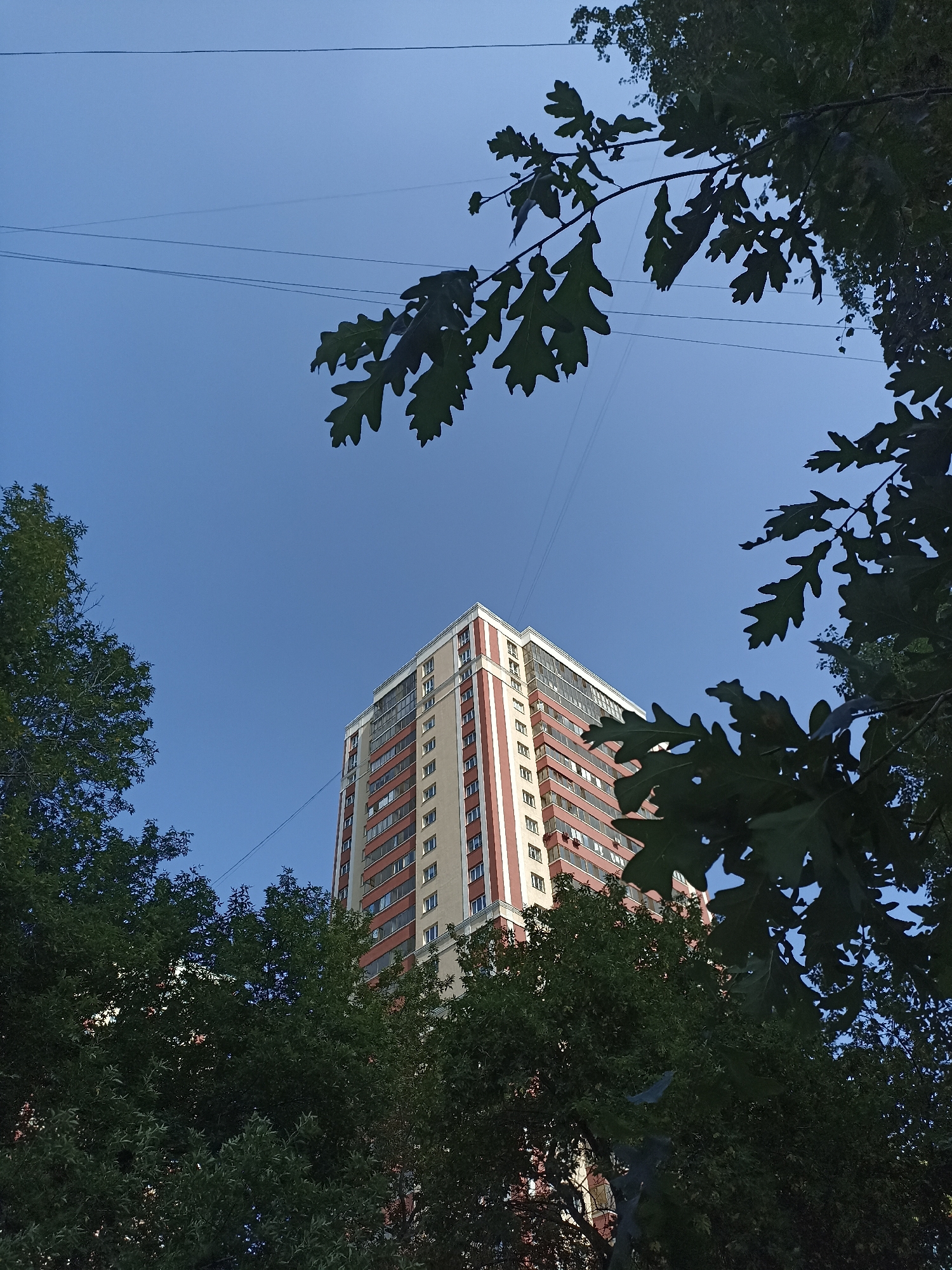 A tall residential building with a red and cream facade is visible against a clear blue sky, framed by dark green foliage in the foreground. Power lines are strung across the sky, intersecting the view. The building is modern, with numerous windows and balconies. The perspective is from below, looking upwards, with the trees partially obscuring the building and sky. This image appears to be taken in Novosibirsk, Russia.