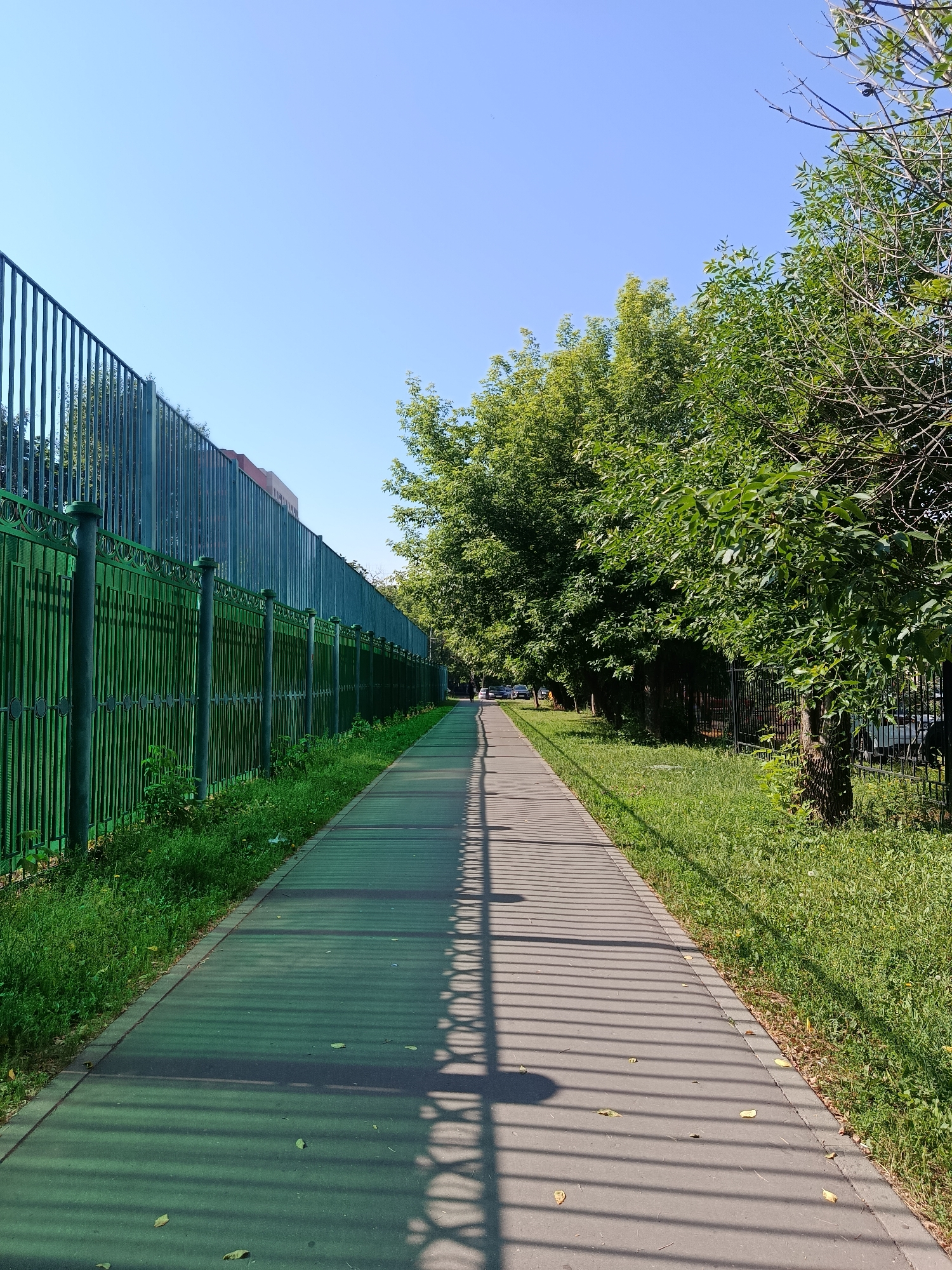 A long, empty pedestrian pathway is bordered by a tall, green metal fence on the left and a line of trees on the right. The pathway, paved with asphalt, stretches into the distance, its surface partially covered by the striped shadow of the fence. Beyond the fence, a building with a reddish-brown upper section is visible. The ground to the right of the pathway is covered with green grass and scattered dry leaves. The sky above is clear and blue. A few cars are parked or driving on a road visible between the trees on the right side of the image, suggesting an urban or suburban setting.