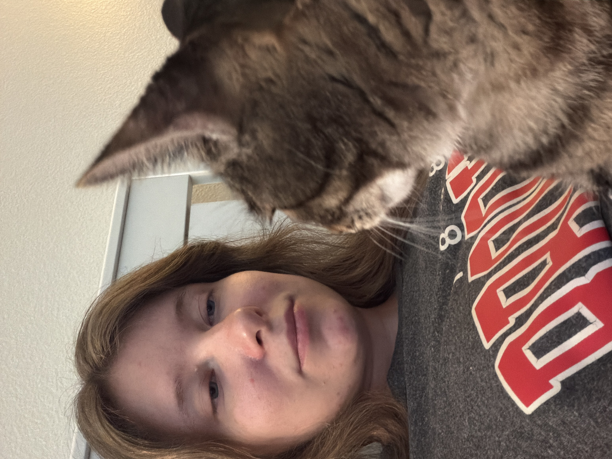A close-up, eye-level shot captures a person and a cat. The person, with shoulder-length light brown hair, looks down and to the right. Their face is in focus, with blue eyes and fair skin showing some redness on the cheeks and chin. They are wearing a dark gray t-shirt with a large red and white logo across the chest.
To the right of the person, a tabby cat is positioned in the foreground, with its head and upper body facing the camera but looking to the left. The cat's fur is a mix of gray, brown, and black stripes. Only the cat's ear, head, and a portion of its back are clearly visible. The background consists of a textured off-white wall and the edge of what appears to be a bed or furniture. The lighting suggests an indoor setting, possibly a bedroom or living area. There are no obvious indicators of the specific location within Portland, United States of America.