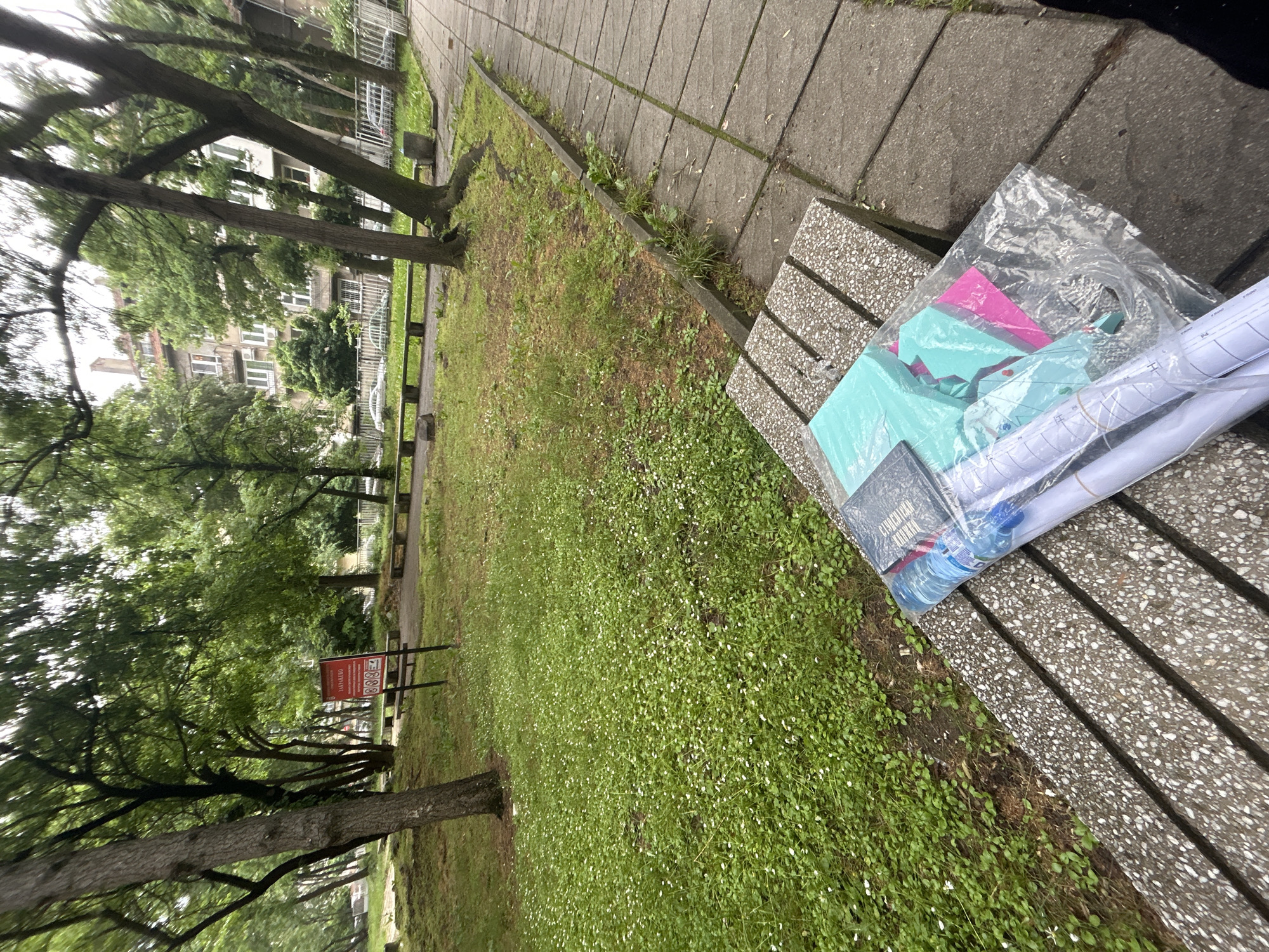 An outdoor scene in Sofia, Bulgaria, captured during the daytime under what appears to be overcast weather. The image is taken from a slightly elevated perspective, looking down a pathway alongside a grassy area.
In the foreground, on the right, is a concrete park bench with distinct speckled grey and white aggregates. Resting on this bench is a clear plastic bag containing various items. Inside the bag, there are several sheets of brightly colored paper, including pink and light blue/turquoise. Also visible are multiple rolled-up white papers, possibly architectural plans or posters, secured with rubber bands. A small, dark-colored book or notebook is also in the bag, with the text "CHRISTIAN KORKKI" partially discernible on its cover. A plastic water bottle with a blue cap and label can also be seen within the bag.
To the left of the bench and paved walkway is an expanse of green grass densely populated with small white flowers. A row of trees with full green canopies lines this grassy area, extending into the background. The trees appear mature, with visible trunks and branches.
Further back, through the trees, urban buildings with multiple windows are visible, suggesting a residential or commercial area. A concrete sidewalk with distinct rectangular slabs runs alongside the grassy patch. In the middle ground, partially obscured by trees, stands a red sign mounted on a wooden post. The sign features text in Bulgarian: "ЗАНАЯТЛЕЙКИ" (ZANAYATLEYKI, likely meaning 'craftsmen's') and "ТРАДИЦИИ" (TRADITSII, 'traditions'), along with symbols including "888". No people are visible in the image, and the scene is static, portraying a quiet moment in an urban park.