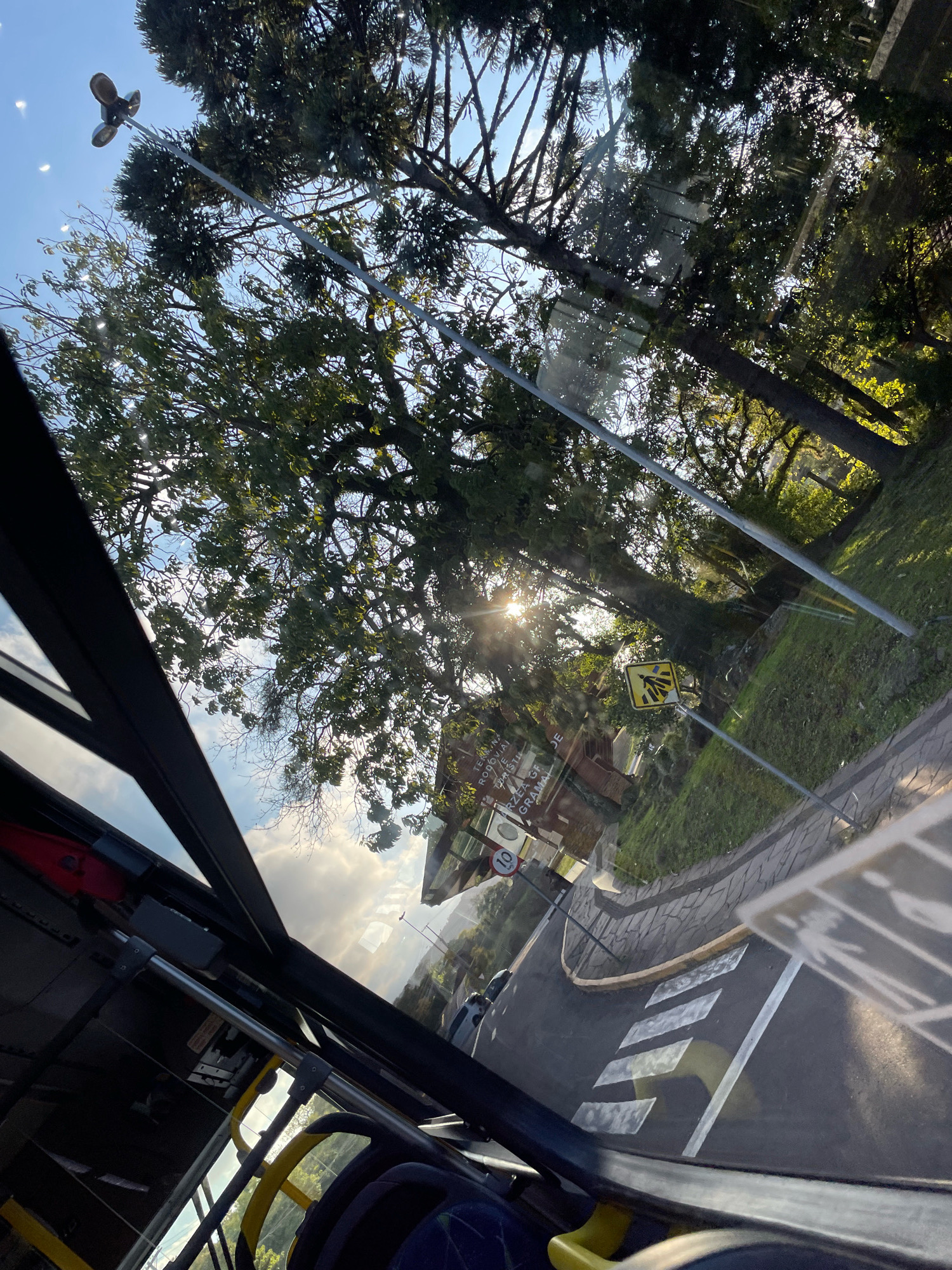 The image shows a view from inside a bus, looking out through the windshield and side windows. Outside, a street in Gramado, Brazil, is visible, featuring a crosswalk, a sidewalk, a grassy slope, and trees. A yellow sign with a pedestrian symbol is posted on a metal pole. In the distance, a building with a sign that appears to say "TERMINAL RODOVIARIO GRAMADO" is partially visible, suggesting the location is near a bus terminal. The sun is shining through the trees, creating lens flare and highlighting the leaves. The interior of the bus shows seats and grab handles.