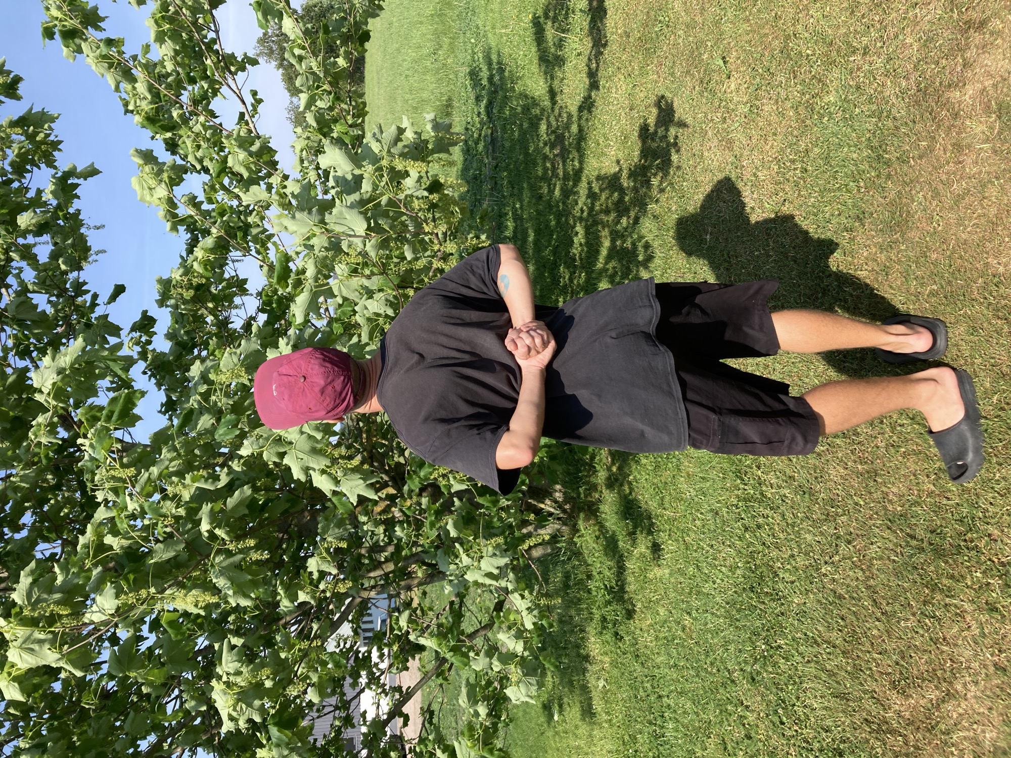 The image, taken in Vessigebro, Sweden, depicts a person standing outdoors on a bright, sunny day. The person is seen from behind and slightly to the side, facing a large, leafy tree. They are wearing a maroon or red baseball cap, a black short-sleeved t-shirt, black cargo shorts, and black slip-on sandals. Their hands are clasped behind their back, and a light blue/teal marking or tattoo is visible on their right upper arm.
The setting is an open, grassy area. The ground is covered in green grass, which shows some patches of lighter, drier grass. The sun is high, casting long, distinct shadows of the person and the tree branches onto the grass, indicating direct sunlight and possibly morning or late afternoon. The sky is a clear, bright blue.
A prominent tree with dense green foliage and numerous small, light green clusters (possibly buds or immature fruits) occupies the left side of the frame. Through the tree's leaves, glimpses of distant structures, potentially buildings, can be seen. The overall atmosphere suggests a relaxed outdoor moment. There is no visible text in the image.