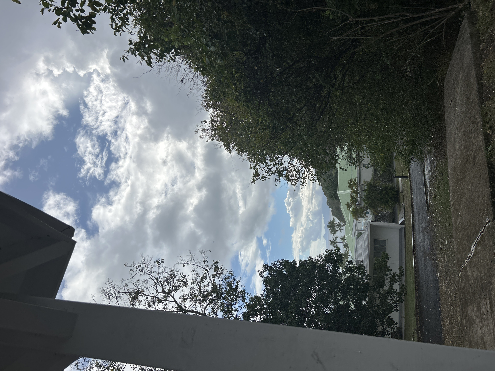 The image depicts a partly cloudy sky visible through trees and a building structure. A section of a white building structure is visible in the foreground, with trees and foliage obscuring parts of the view. In the distance, buildings and palm trees are visible along with a glimpse of a mountain. The location is Sainte-Anne, France. A crack in a concrete surface is seen in the foreground. There are no people present.
