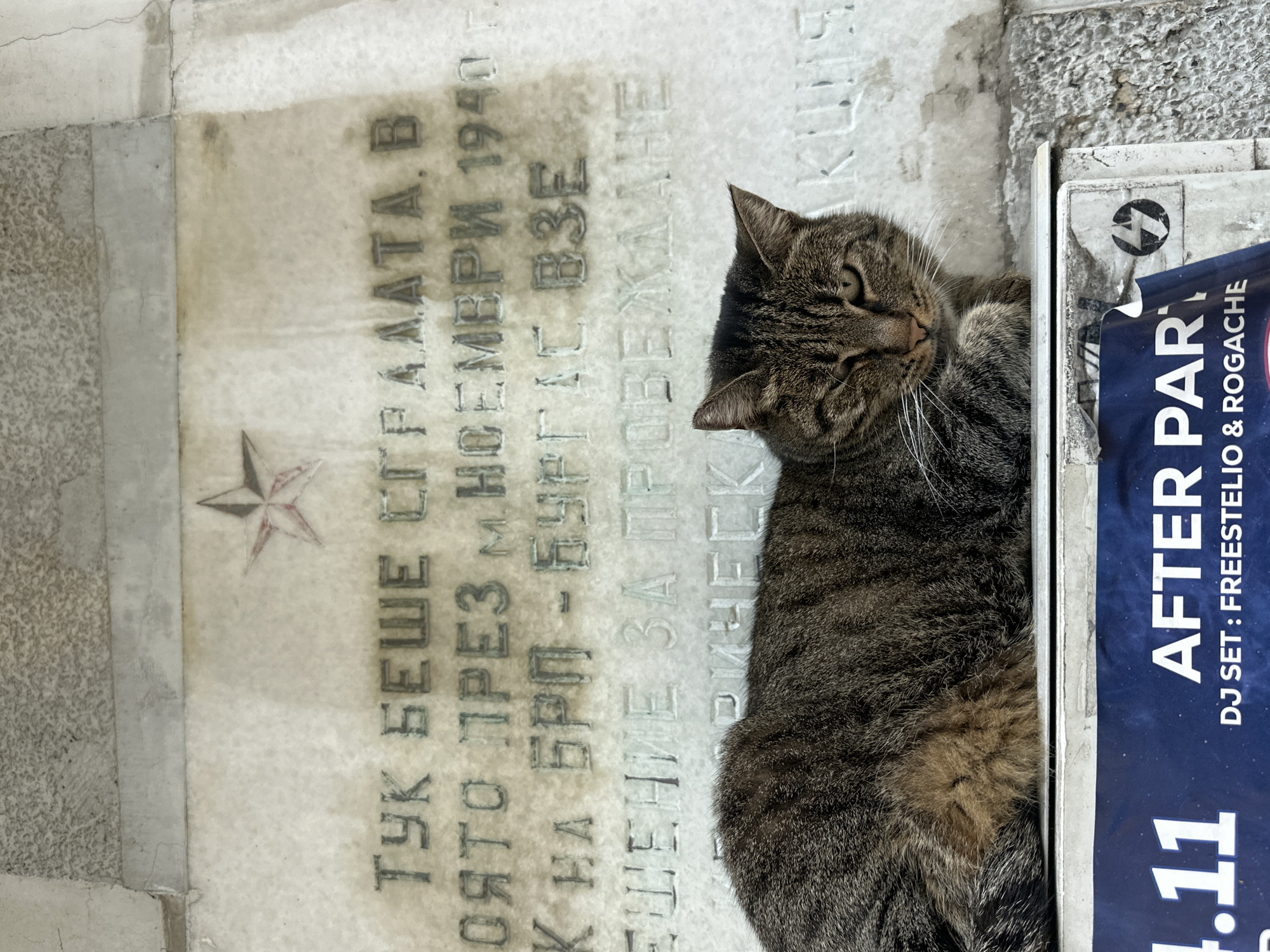 The image shows a tabby cat lying next to a marble plaque with Cyrillic text. The plaque has a five-pointed star on it. The text on the plaque reads "ТУК БЕШЕ СГРАДАТА, В ОЯТО ПРЕЗ МНОЕМВРИ 1940. К НА БРП - БУРГАС ВЗЕ ЕШЕНИЕ ЗА ПРОВЕЖДАНЕ." Next to the cat is a partially visible advertisement with the text "AFTER PAR," "DJ SET: FREESTELIO & ROGACHE", and "11". The cat is lying down. The location is Burgas, Bulgaria, based on the inscription "БУРГАС" on the plaque.