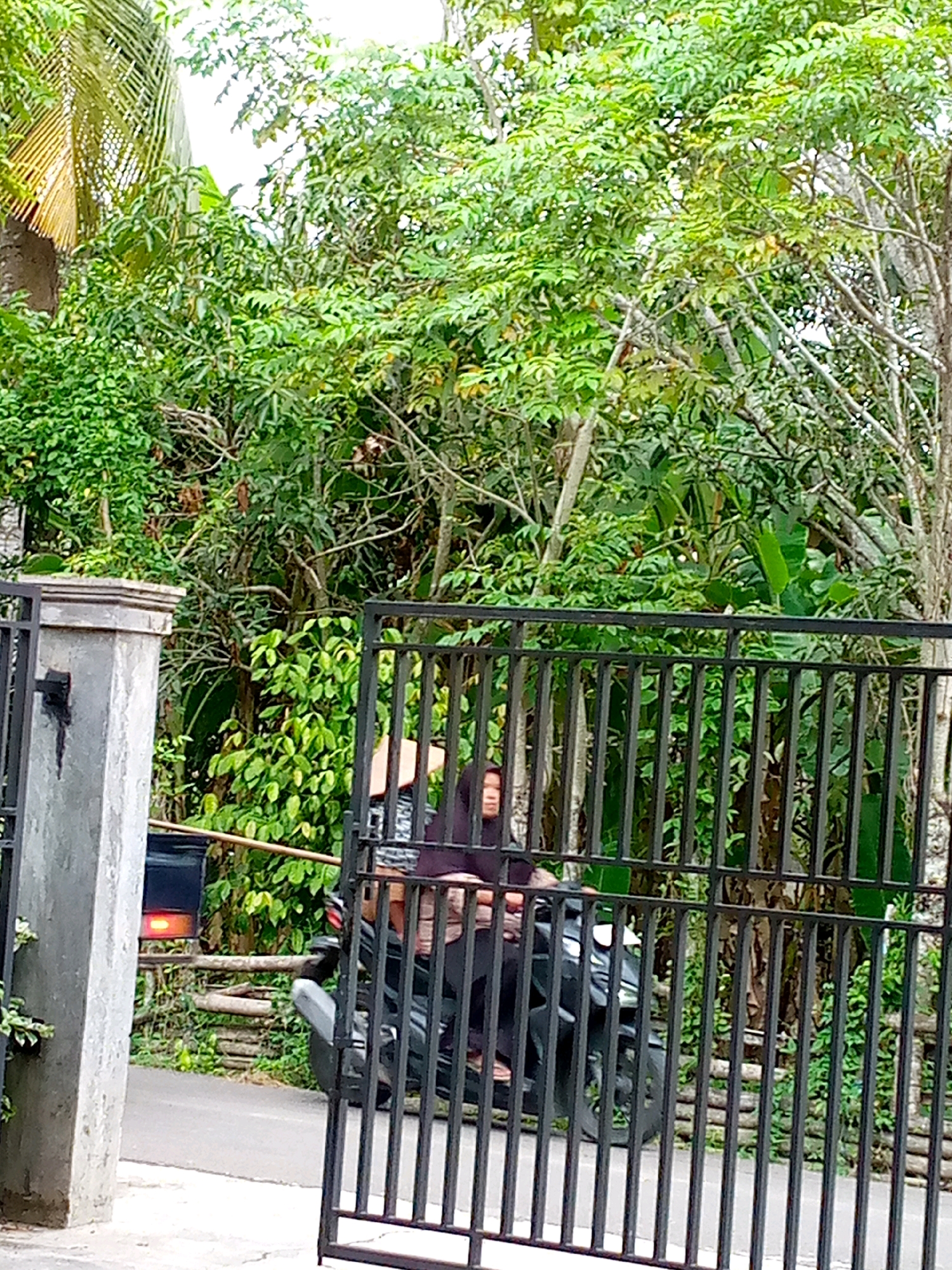 The image shows a black metal gate in front of lush green vegetation. Through the gate, a motorcycle is partially visible. A person wearing a dark headscarf and dark clothing is seated on the motorcycle, facing to the left. The person appears to be a woman, and her feet are visible, wearing light-colored sandals. To the left of the gate, a grey concrete pillar with a black fixture is visible. Behind the gate and the motorcycle, there are dense trees and foliage. A red taillight is visible on a black object to the left of the motorcycle, attached to a wooden fence. The scene appears to be outdoors, possibly in front of a residence or a yard.
