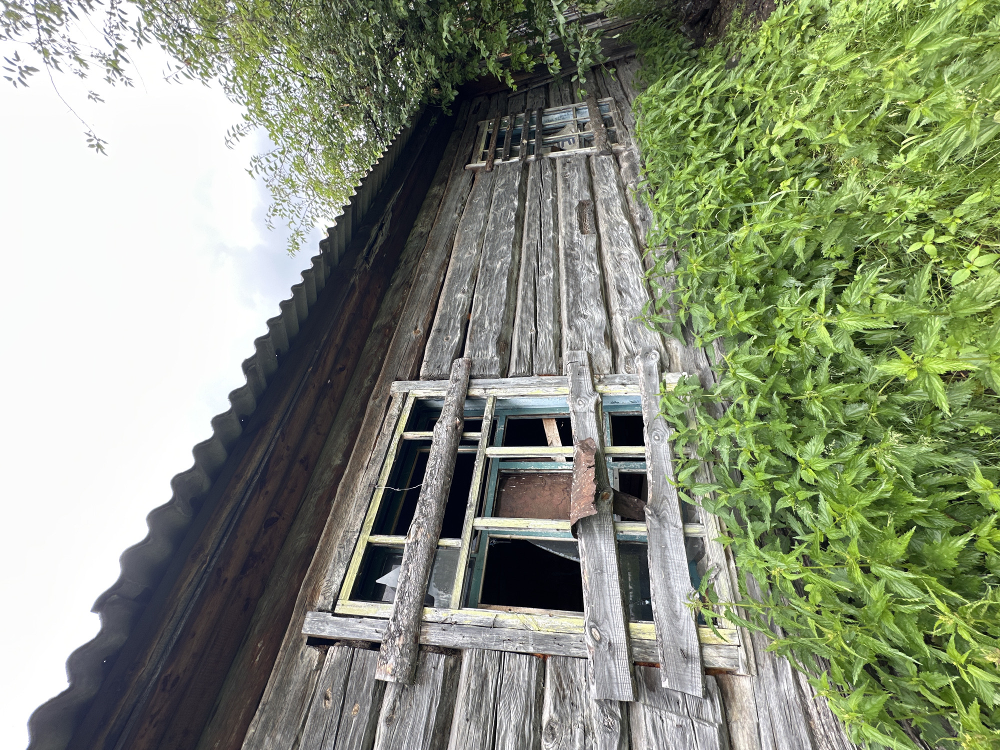 This is a low-angle, full exterior shot of an abandoned, weathered wooden structure, likely a house, located in the vicinity of Abzakovo, Russia. The building's walls are constructed from horizontal, aged logs, showing significant wear and discoloration. A corrugated metal roof caps the structure, with some sections appearing damaged.
Dominating the left side of the frame is a large, broken window. The wooden frame of this window is partially boarded up with haphazardly placed planks and a rough log. The glass is shattered, with visible fragments. Behind the broken glass, a rusty metal sheet is visible. Smaller, broken window panes and a rudimentary wooden grate are also apparent within the window opening.
In the foreground, lush green vegetation, primarily nettles, grows abundantly, reaching up towards the lower sections of the building. To the right, a dense tree canopy partially obscures the side of the building and extends upwards into the frame, its leaves a vibrant green. The sky above is overcast, with patches of white clouds. No people or animals are visible in the scene. The overall impression is one of decay and neglect, with nature reclaiming the abandoned structure.