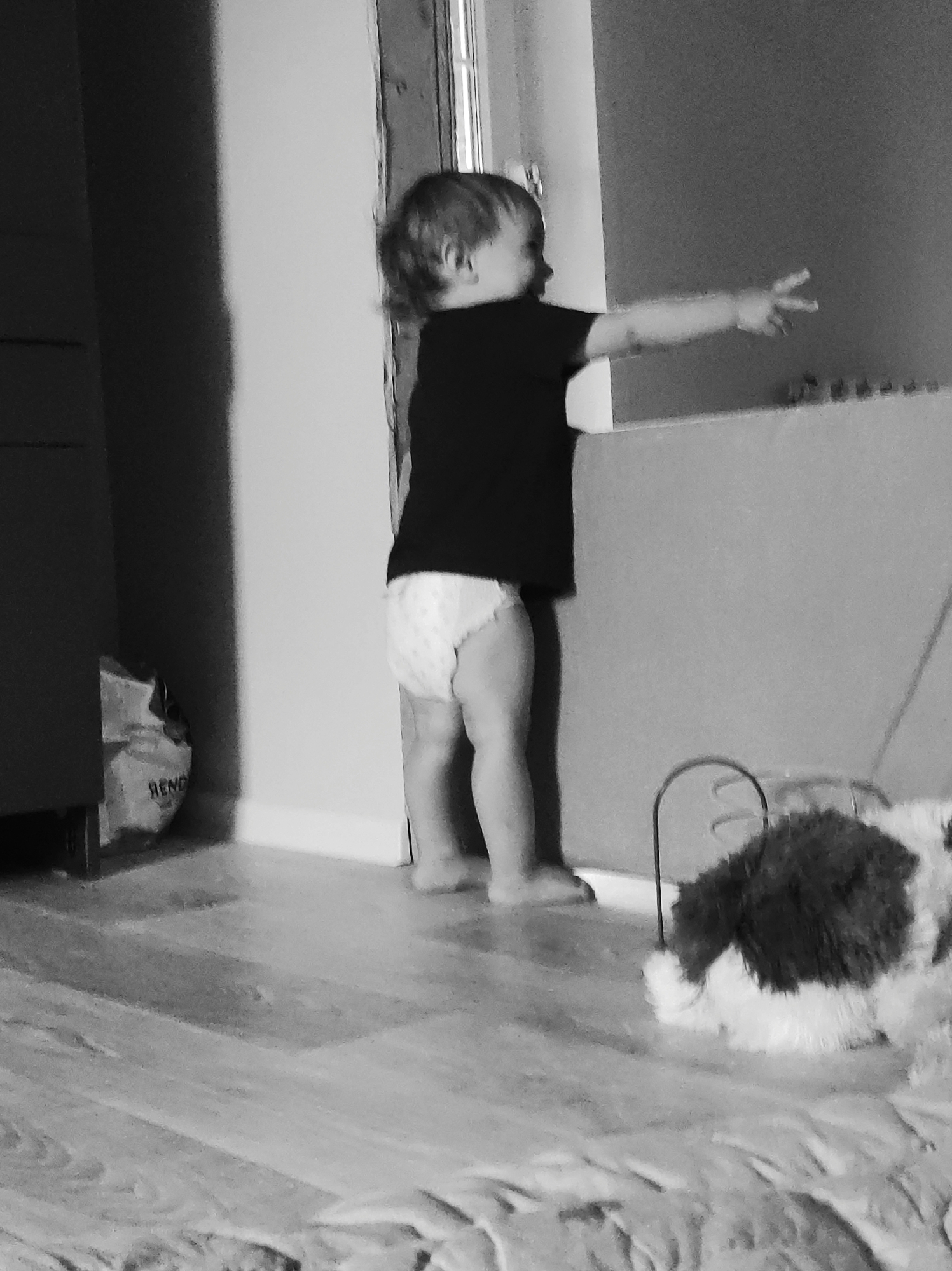This black and white indoor photograph depicts a young child standing barefoot on a wooden floor, turned in profile to the right. The child, wearing a dark short-sleeved t-shirt and a light-colored, possibly patterned diaper, extends their right arm forward with fingers splayed, as if reaching or pointing towards something out of frame or at a distant object.
To the left, a dark piece of furniture, appearing to be a cabinet or dresser, stands against a light-colored wall. A crumpled white bag with the word "RENO" partially visible in dark letters is on the floor near the base of this furniture. The floor consists of light-toned wooden planks.
To the right of the child, a light-colored wall extends into the background. A low, narrow surface or ledge is visible, with several small, indistinct objects lined up on it. Further right and in the foreground, a black, curved metal object, possibly part of a decorative item or furniture, stands on the floor. A fluffy pet, appearing to be a black and white dog, is positioned on the floor in the lower right foreground, partially out of view, with its back to the viewer. The background contains vertical lines, suggesting a window or door frame.
The image does not contain any visual information that would allow for the determination of its specific location in the city of Фоки, Russia.