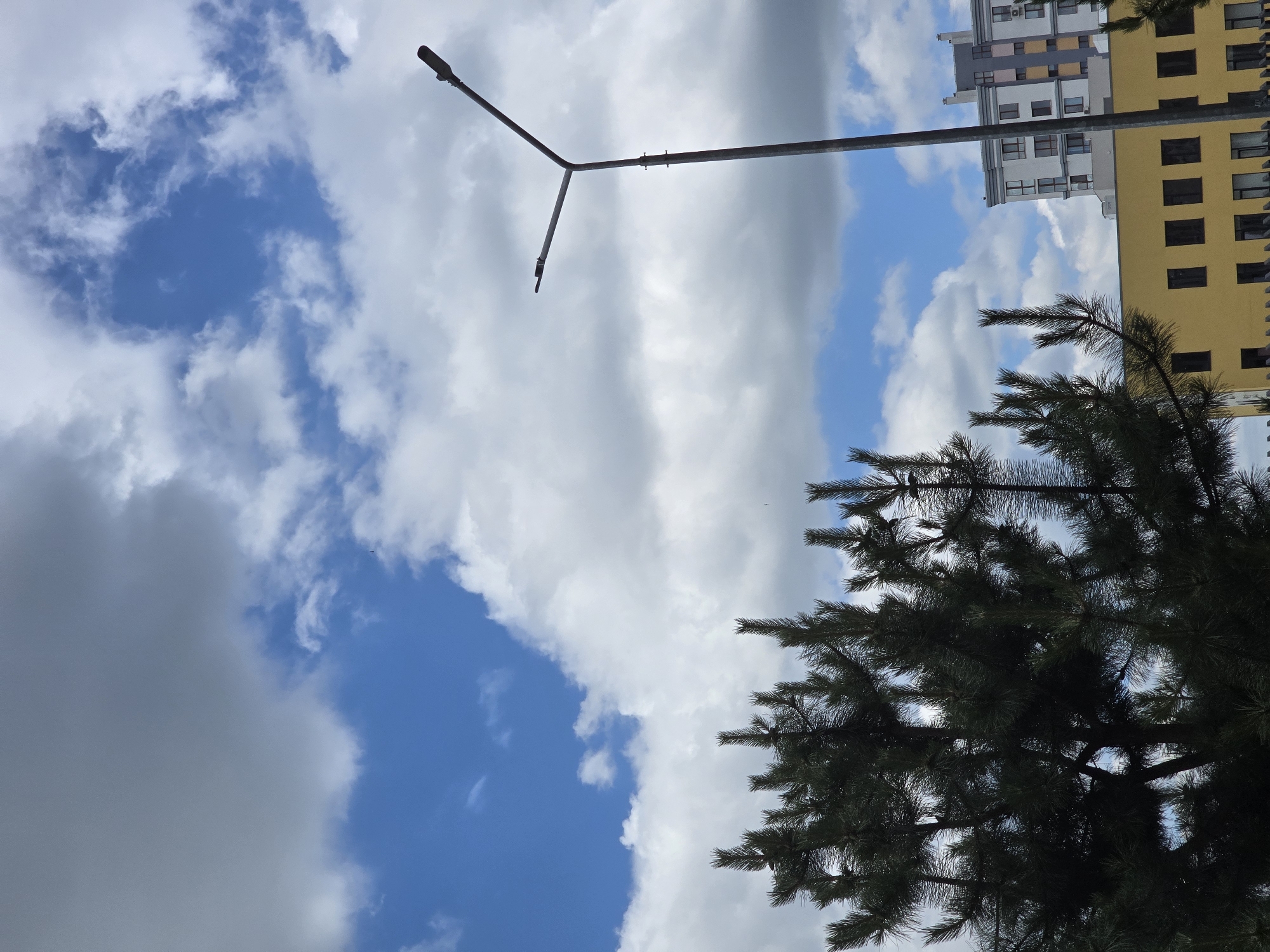 A vertical shot captures a cloudy sky with patches of blue, framing a dark green pine tree on the left and a modern street lamp on the right. The pine tree's needles are detailed against the sky. The street lamp is positioned centrally on the right, its metal pole extending upwards with two lights. In the background, a yellow building with dark rectangular windows is partially visible, topped by a taller white and gray building with multiple windows and architectural details. The scene appears to be set in an urban environment.